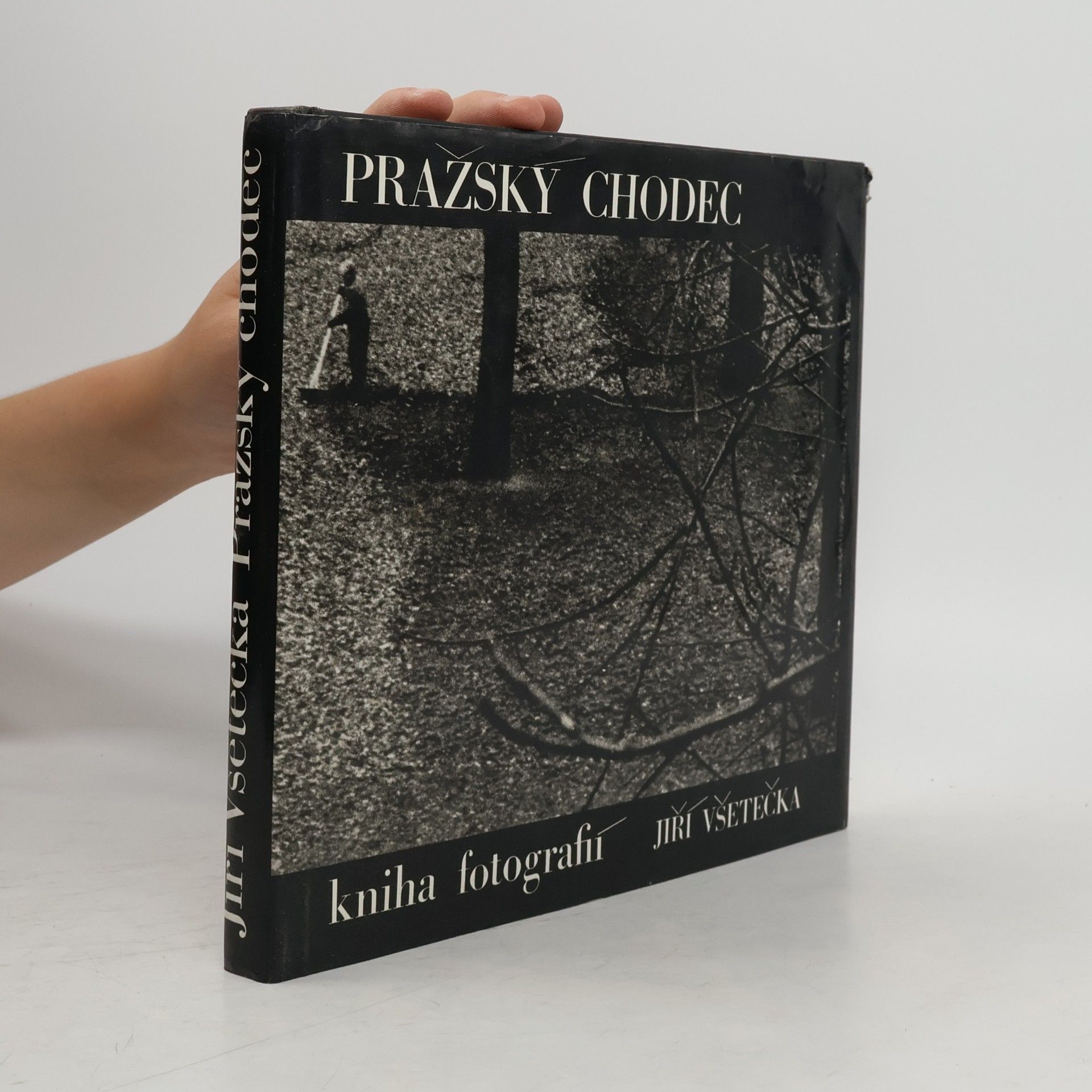 Jiří Všetečka Pražský chodec