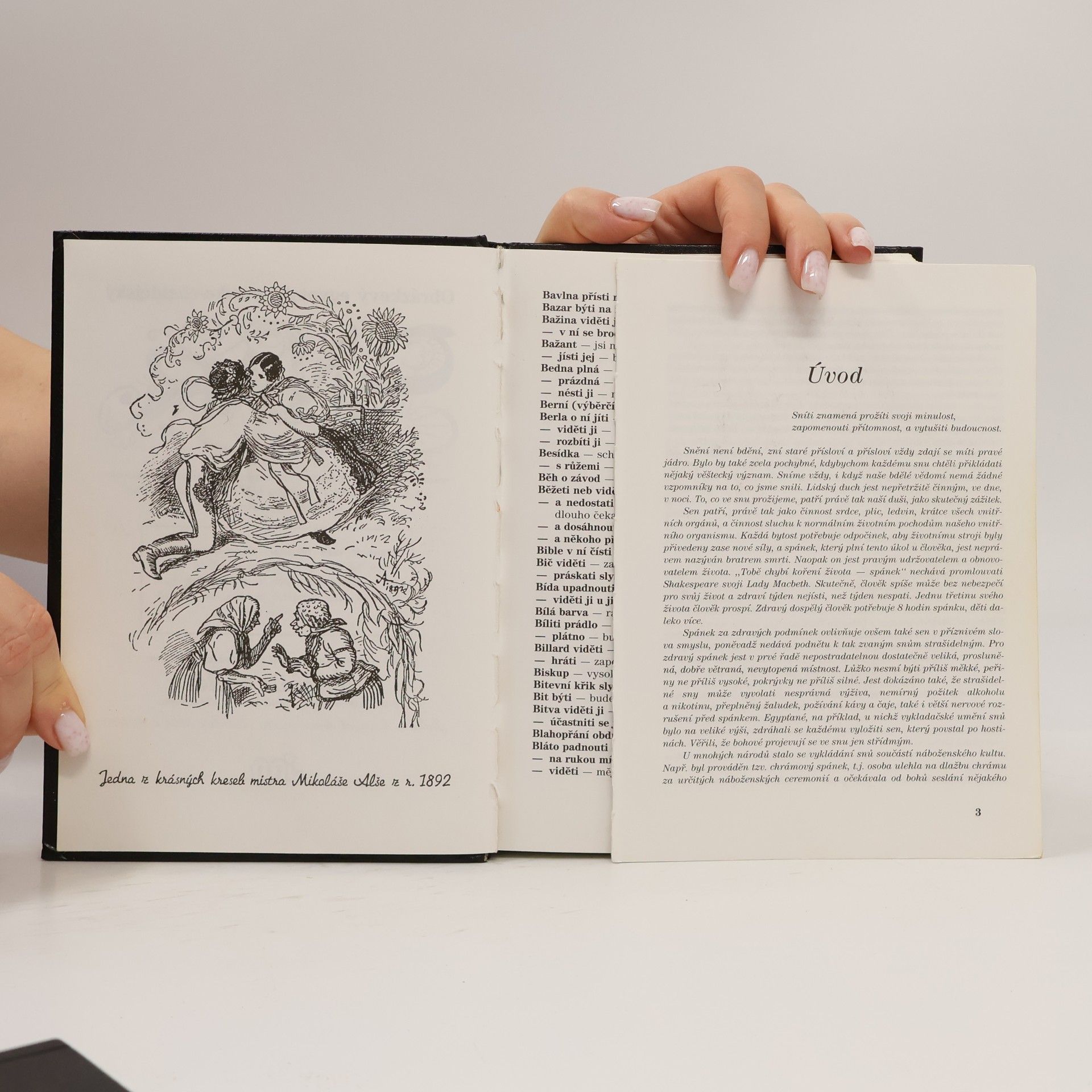 Autorenkollektiv Obrázkový egyptsko-persko-chaldejský SNÁŘ