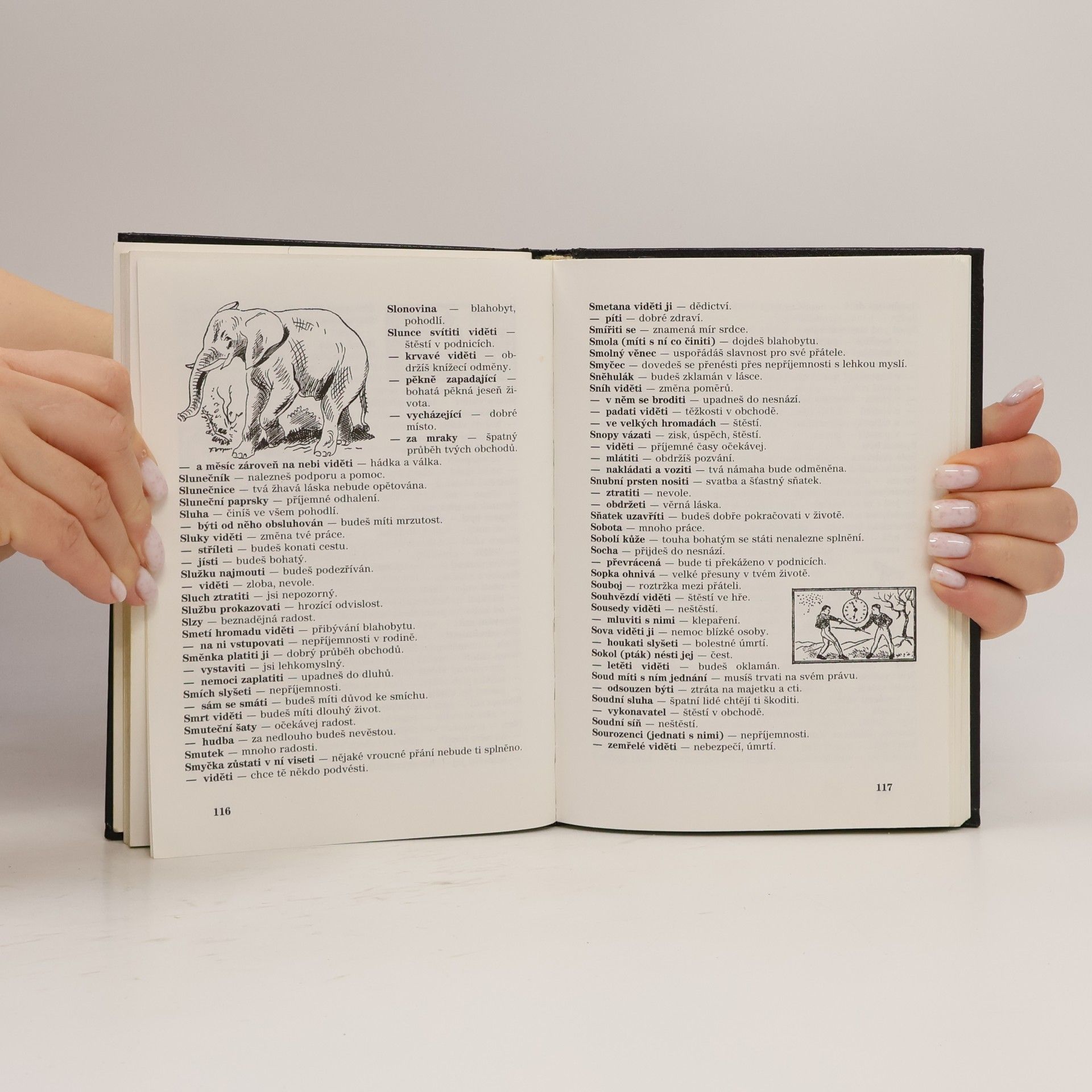 Autorenkollektiv Obrázkový egyptsko-persko-chaldejský SNÁŘ
