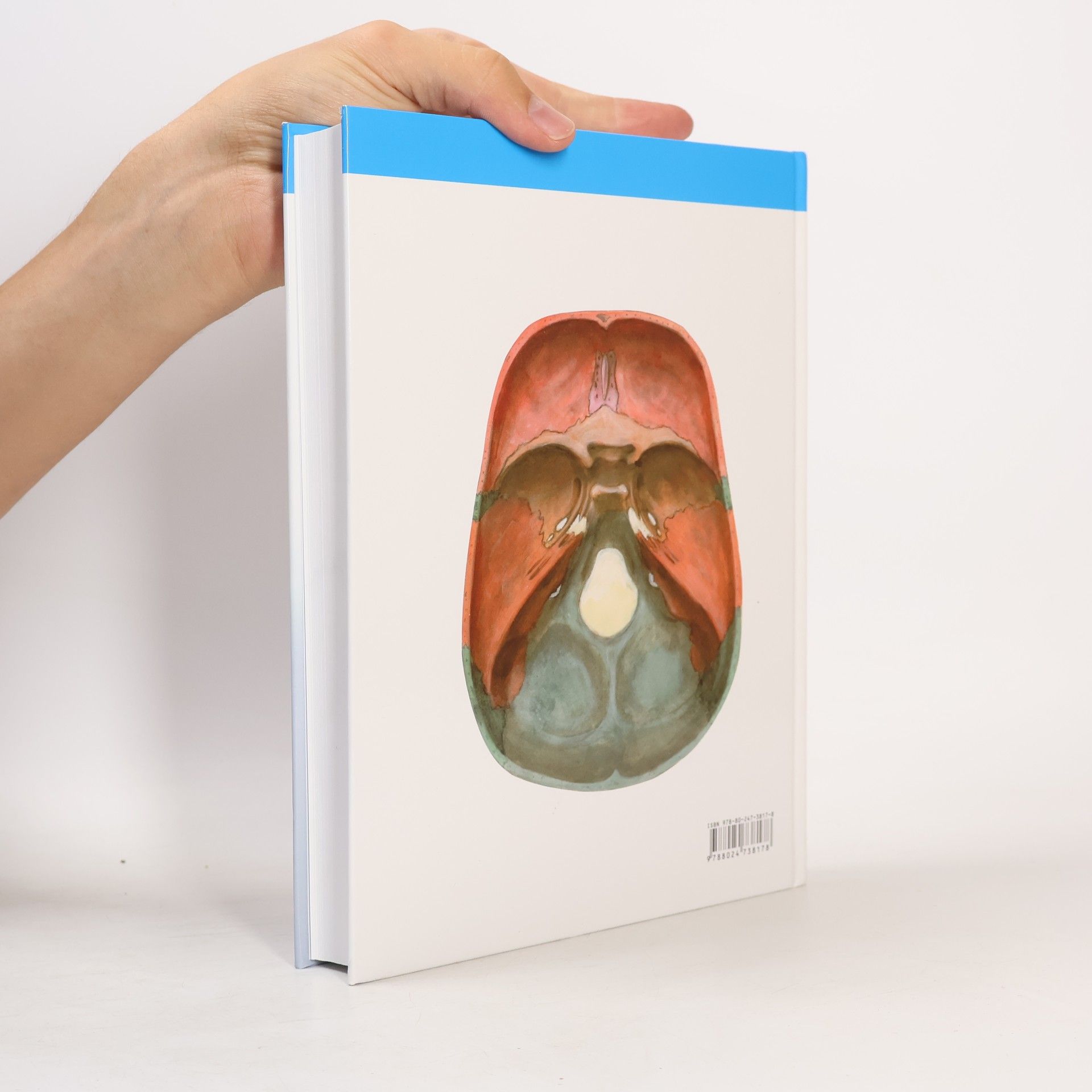Oldřich Fejfar Anatomie 1