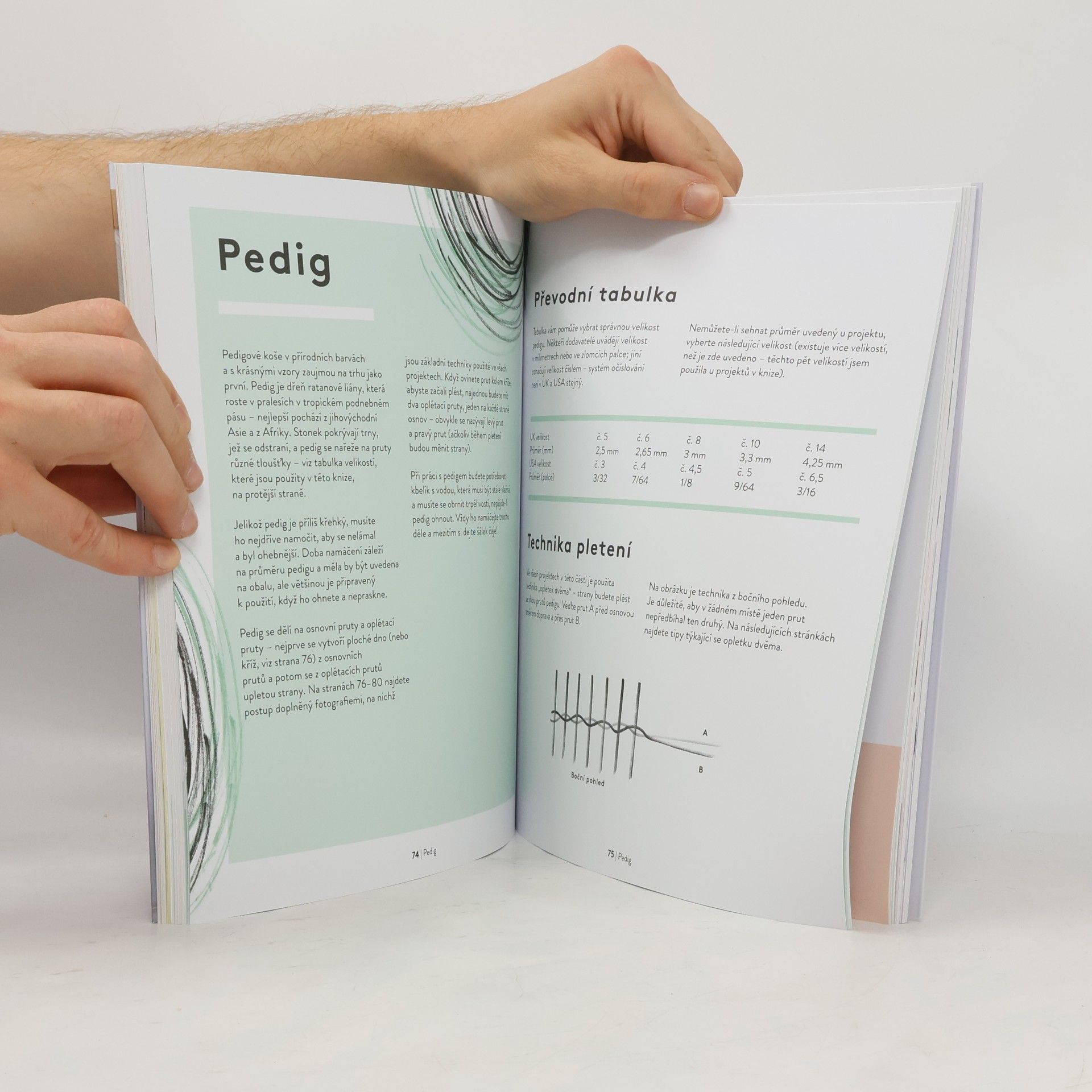 Tabara N. Diaye Pletení stylových košů : praktický průvodce různými technikami pletení (nejen) košů