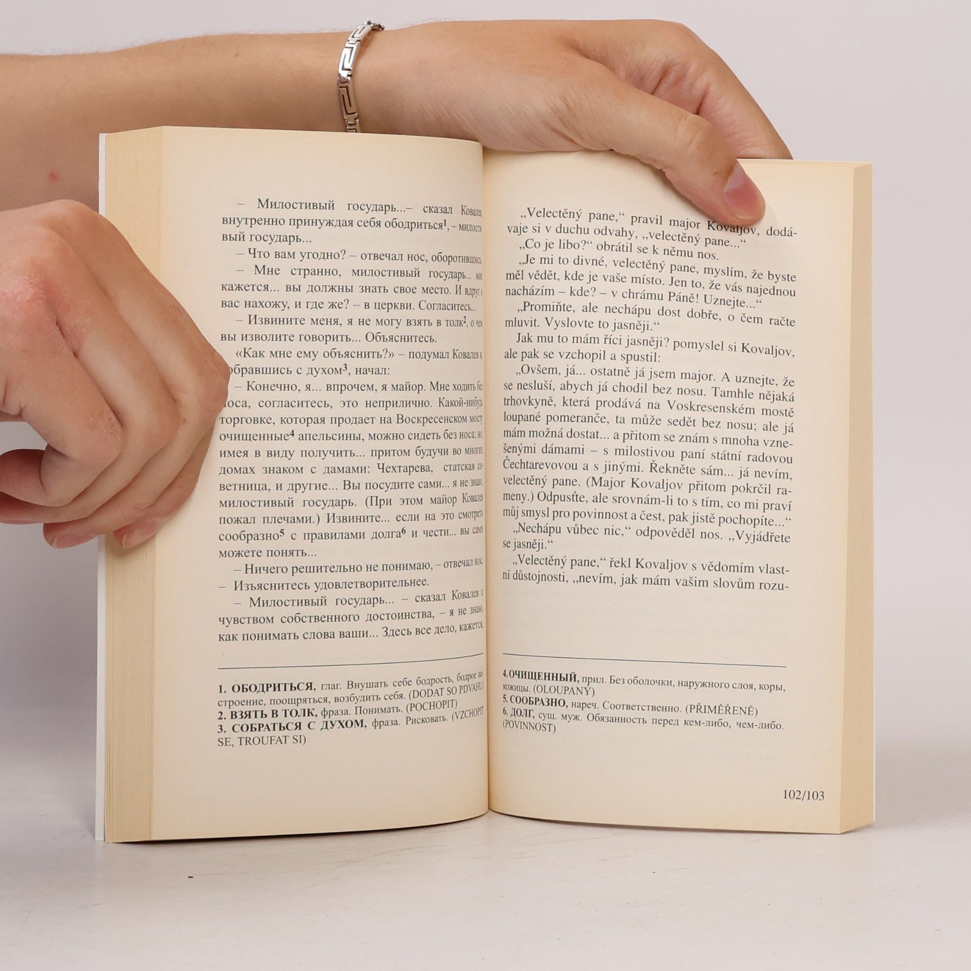 Nikolai Wassiljewitsch Gogol Bláznovy zápisky. Zapiski sumasšedšego