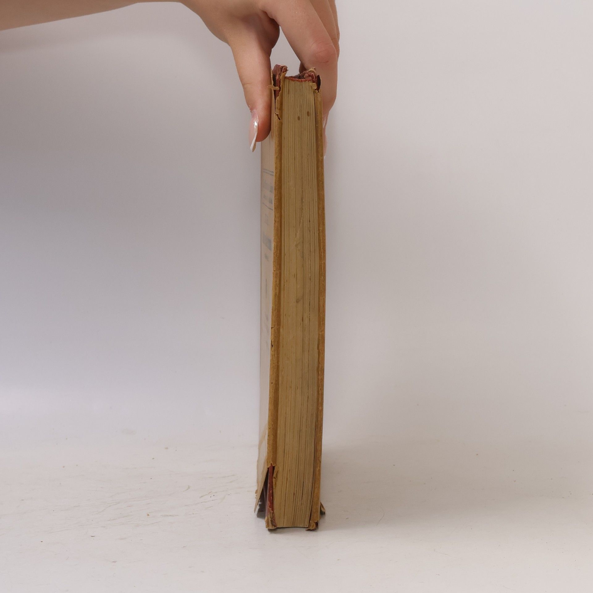 Wilhelm Erbt Handbuch zum Alten Testament