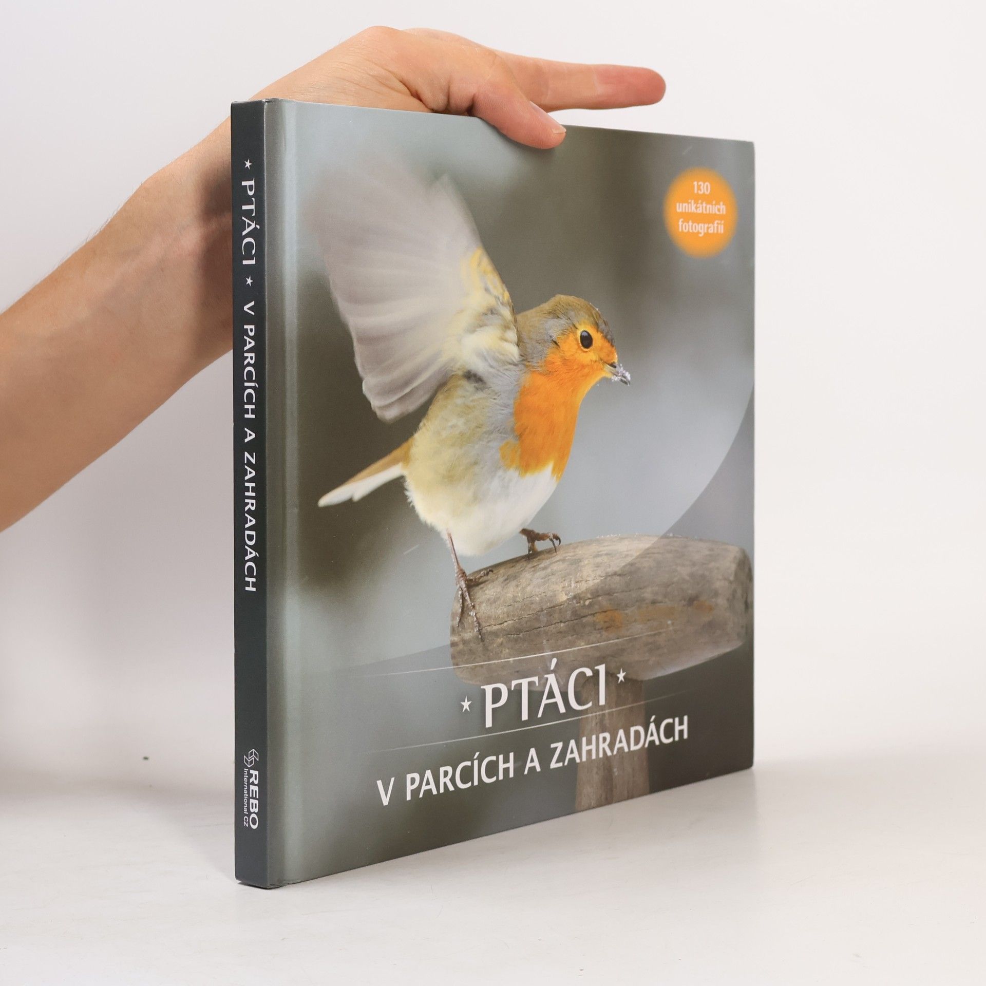 Arno Ten Hoeve Ptáci v parcích a zahradách
