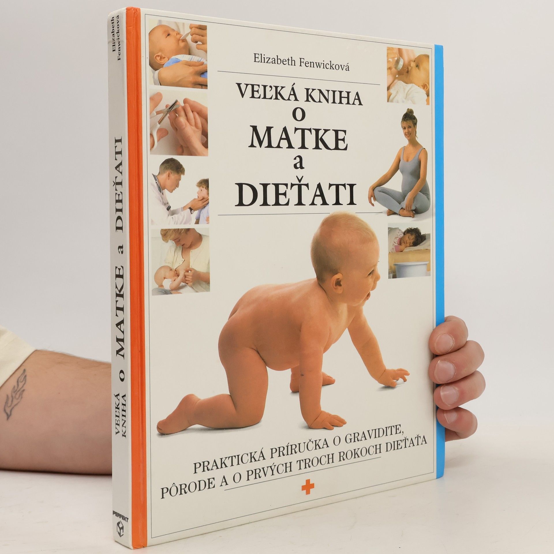 Elizabeth Fenwick Veľká kniha o matke a dieťati