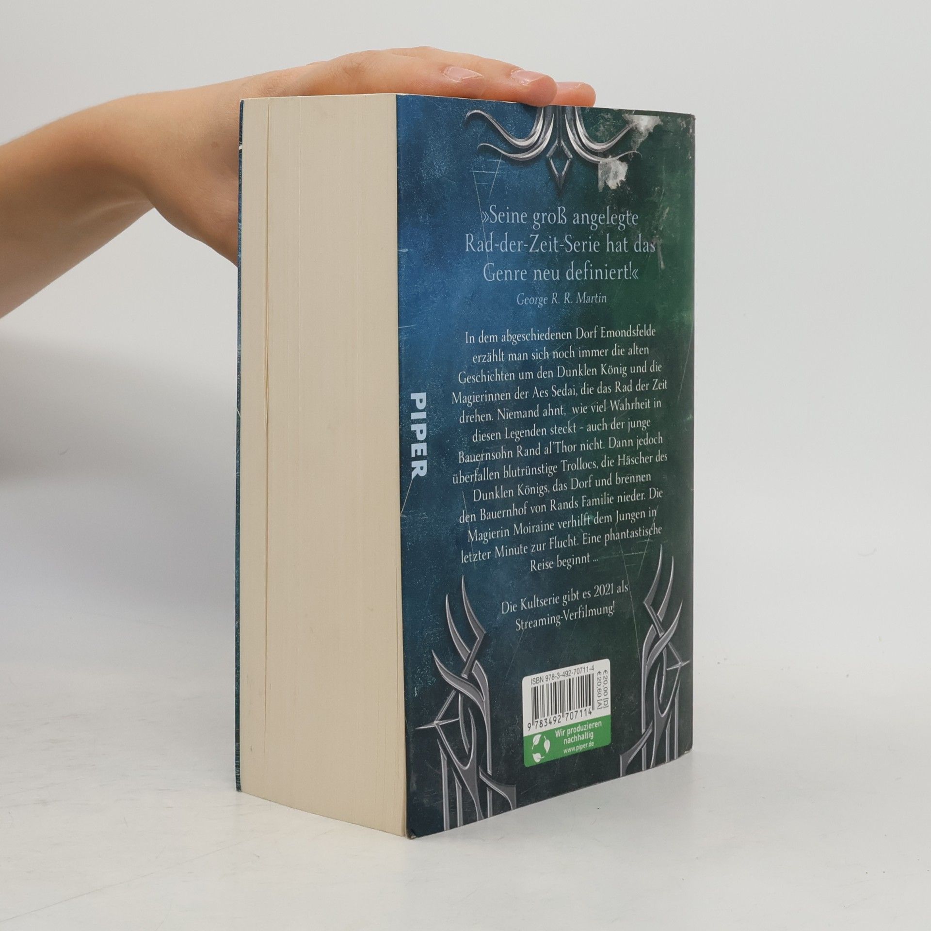 Robert Jordan Das Rad der Zeit: Die Suche nach dem Auge der Welt