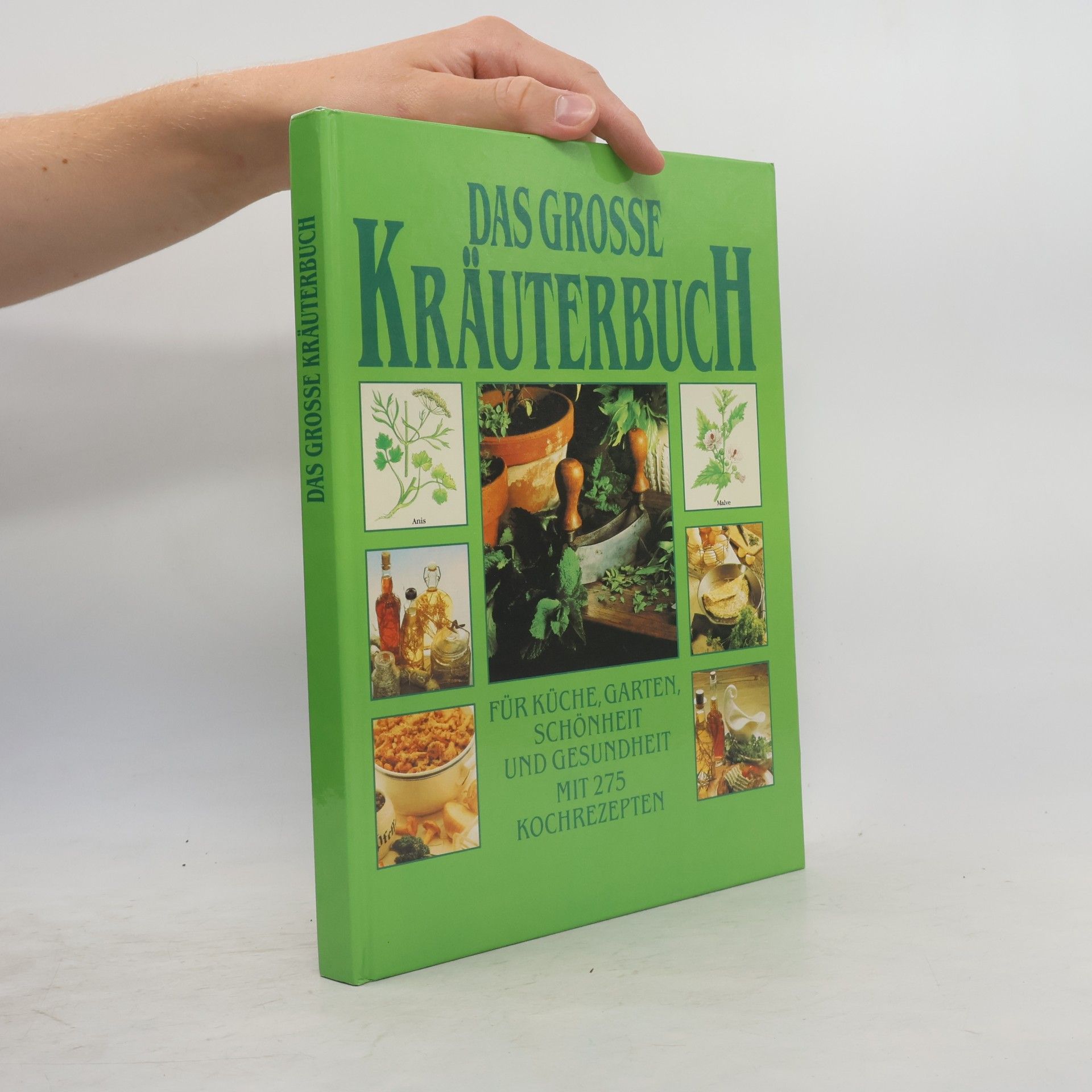 Various authors Das große Kräuterbuch