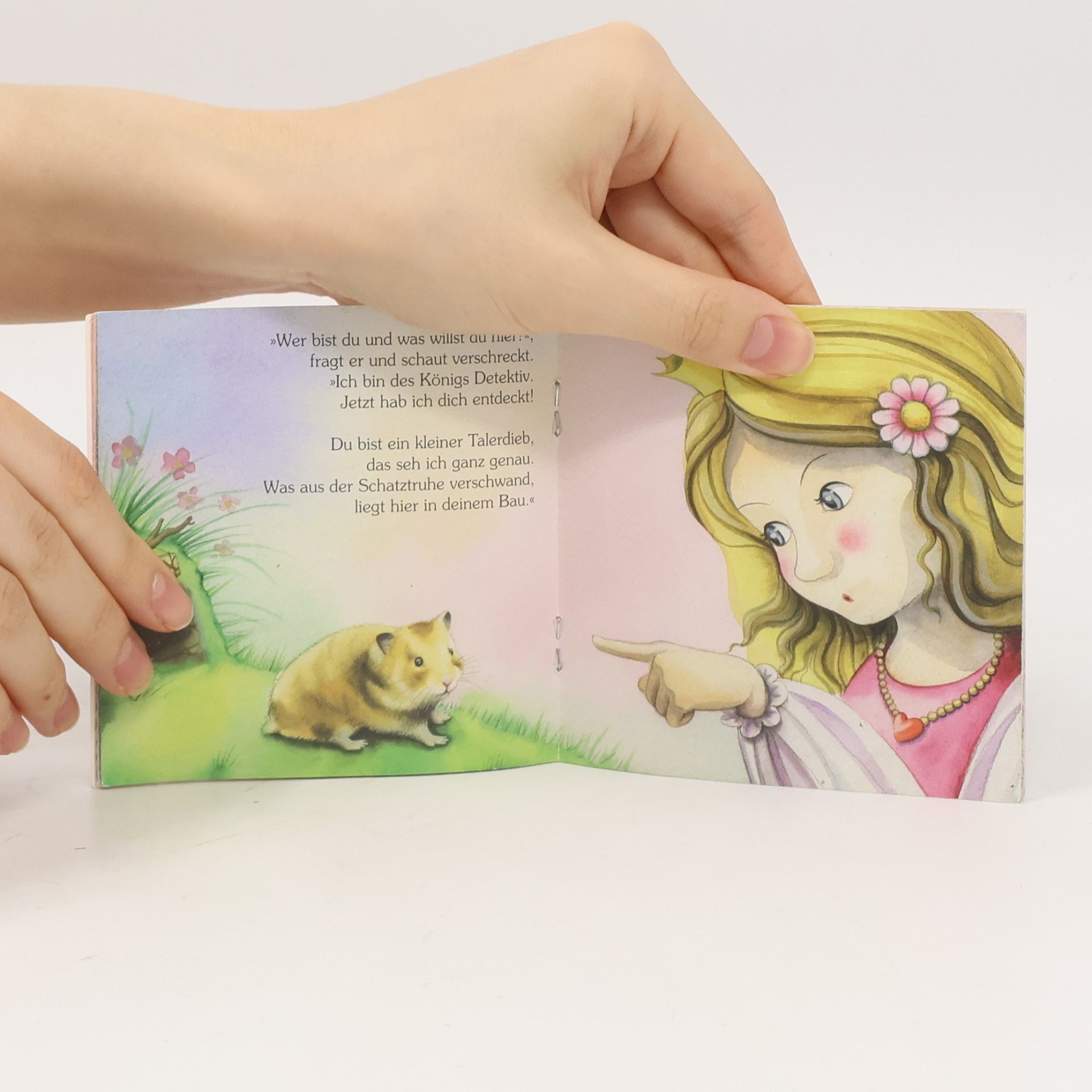Autorenkollektiv Prinzessin Isabel und der Talerputzer