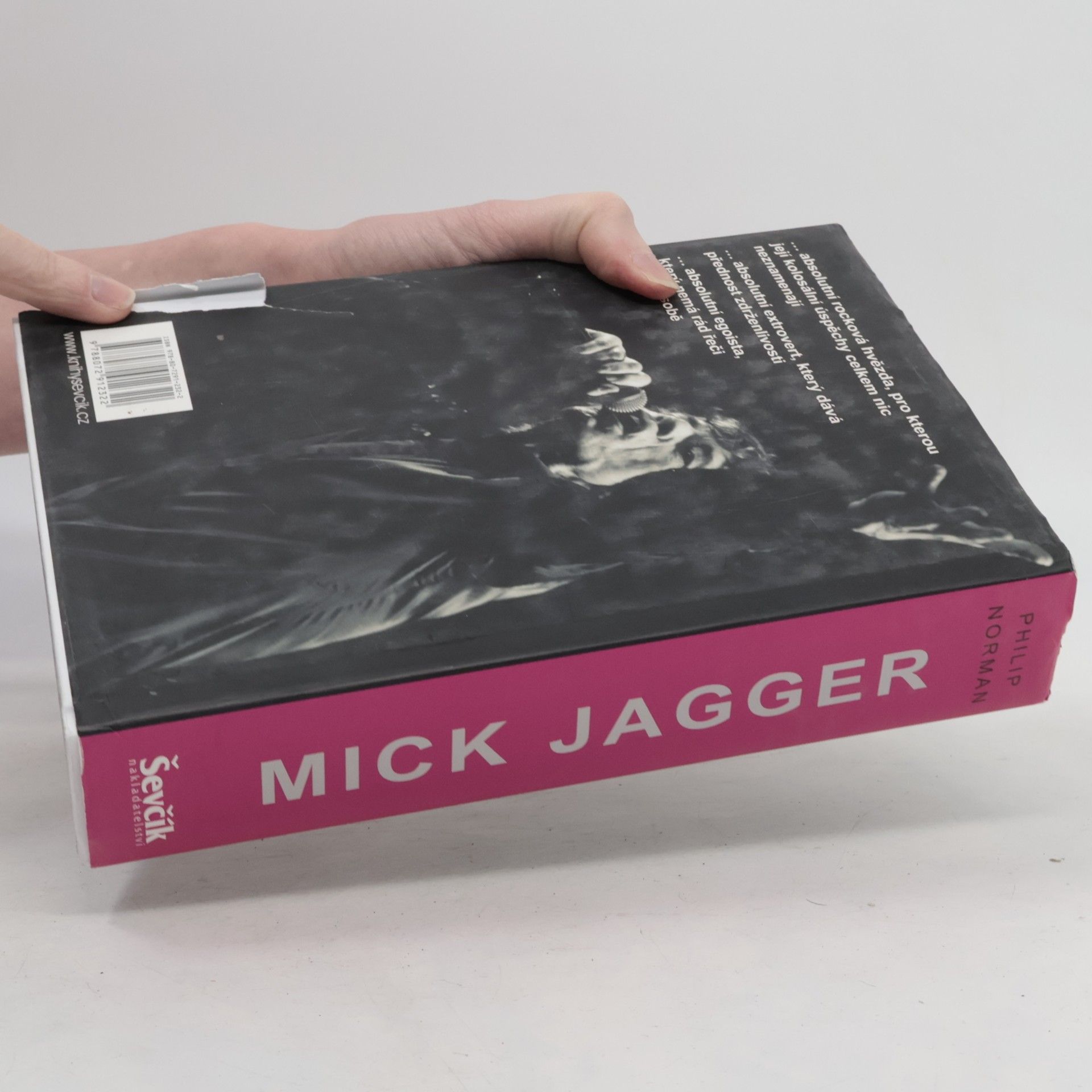 Philip Norman Mick Jagger