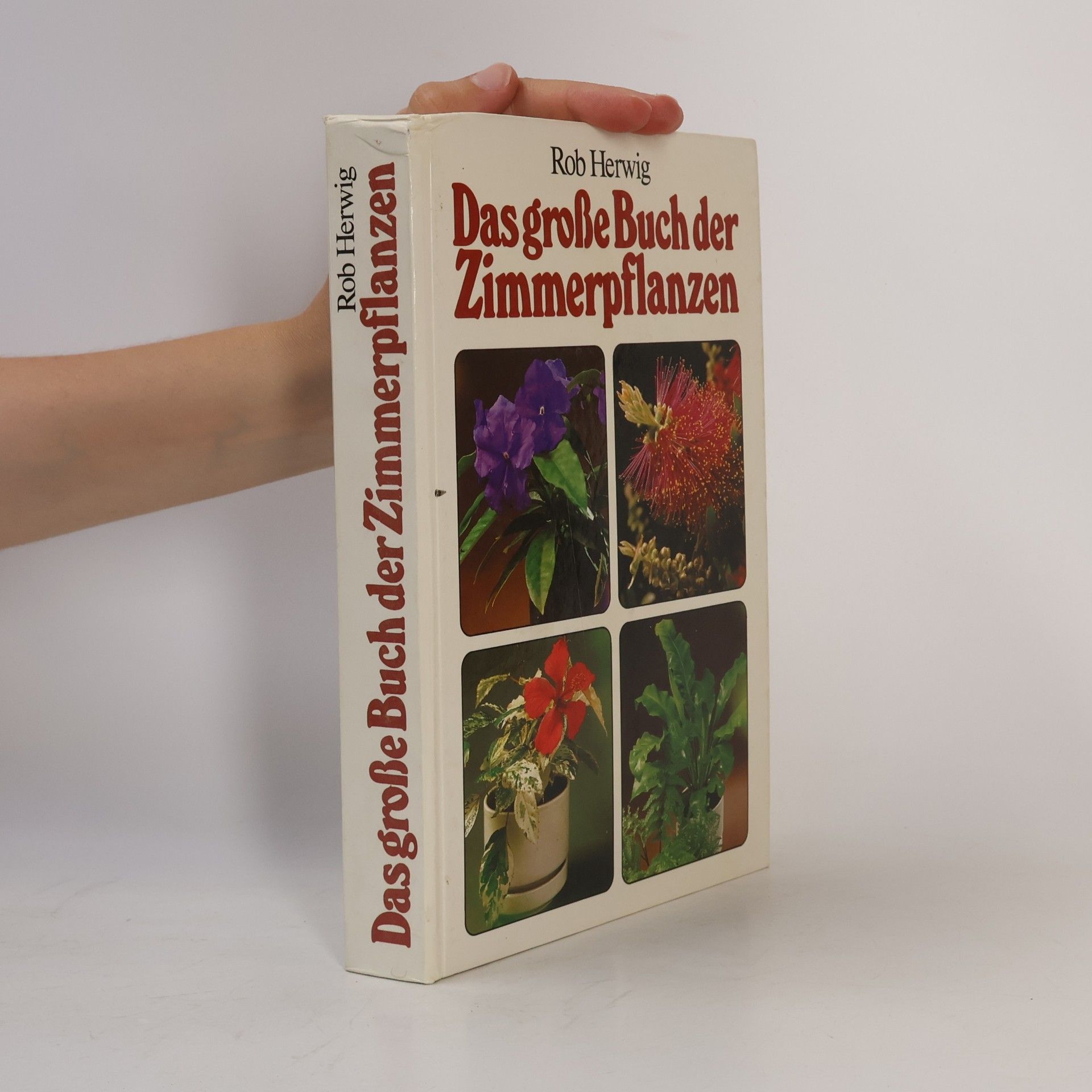 Das grosse Buch der Zimmerpflanzen