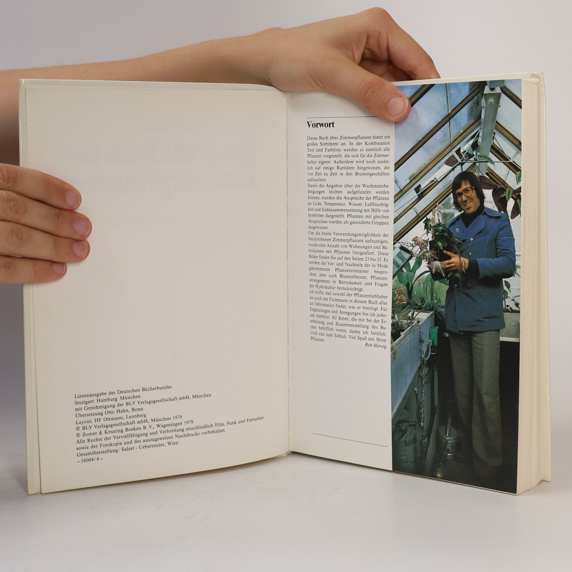 Rob Hewig Das grosse Buch der Zimmerpflanzen