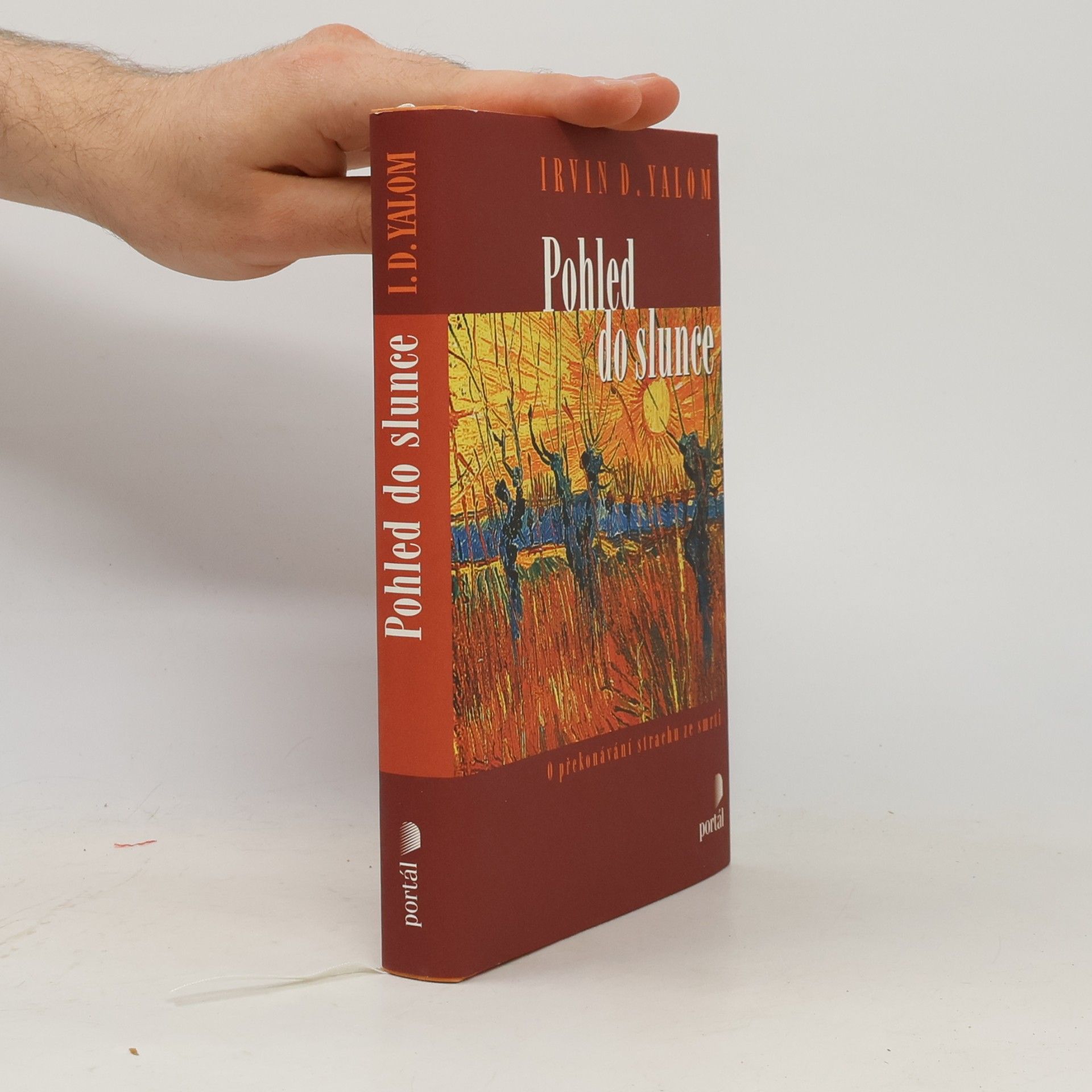 Irvin Yalom Pohled do slunce