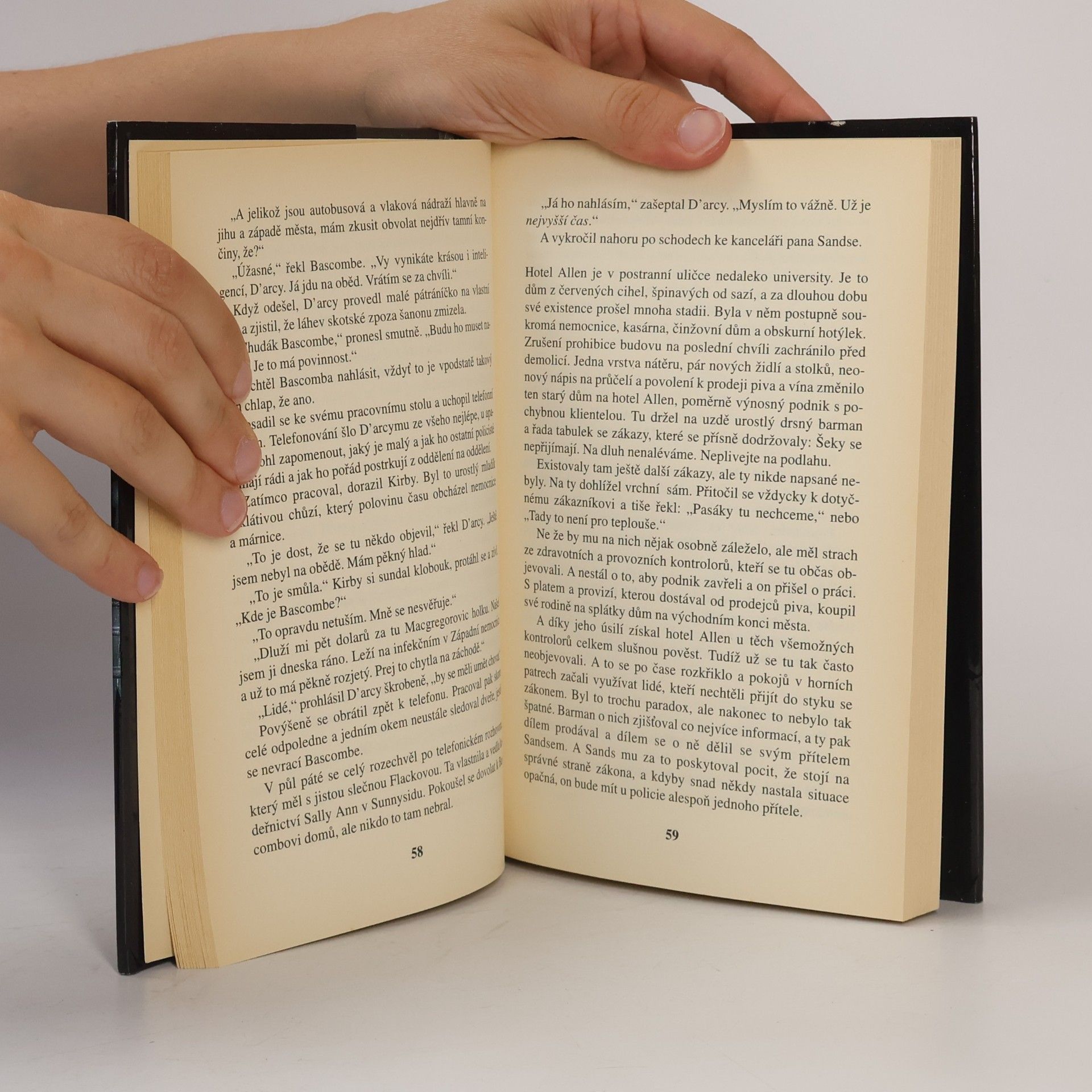 Margaret Millar Železná brána