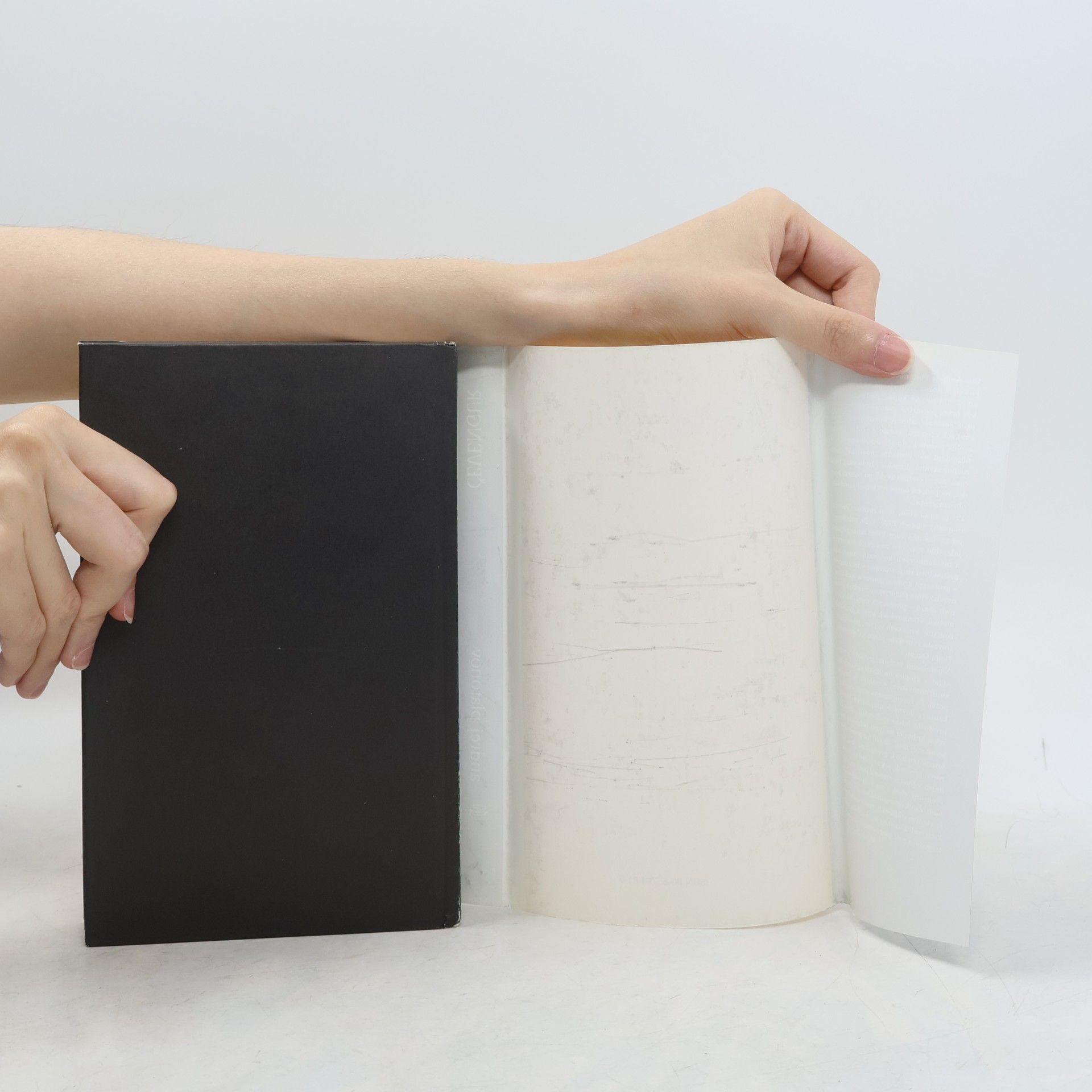 Andrei Platonowitsch Platonow Čevengur
