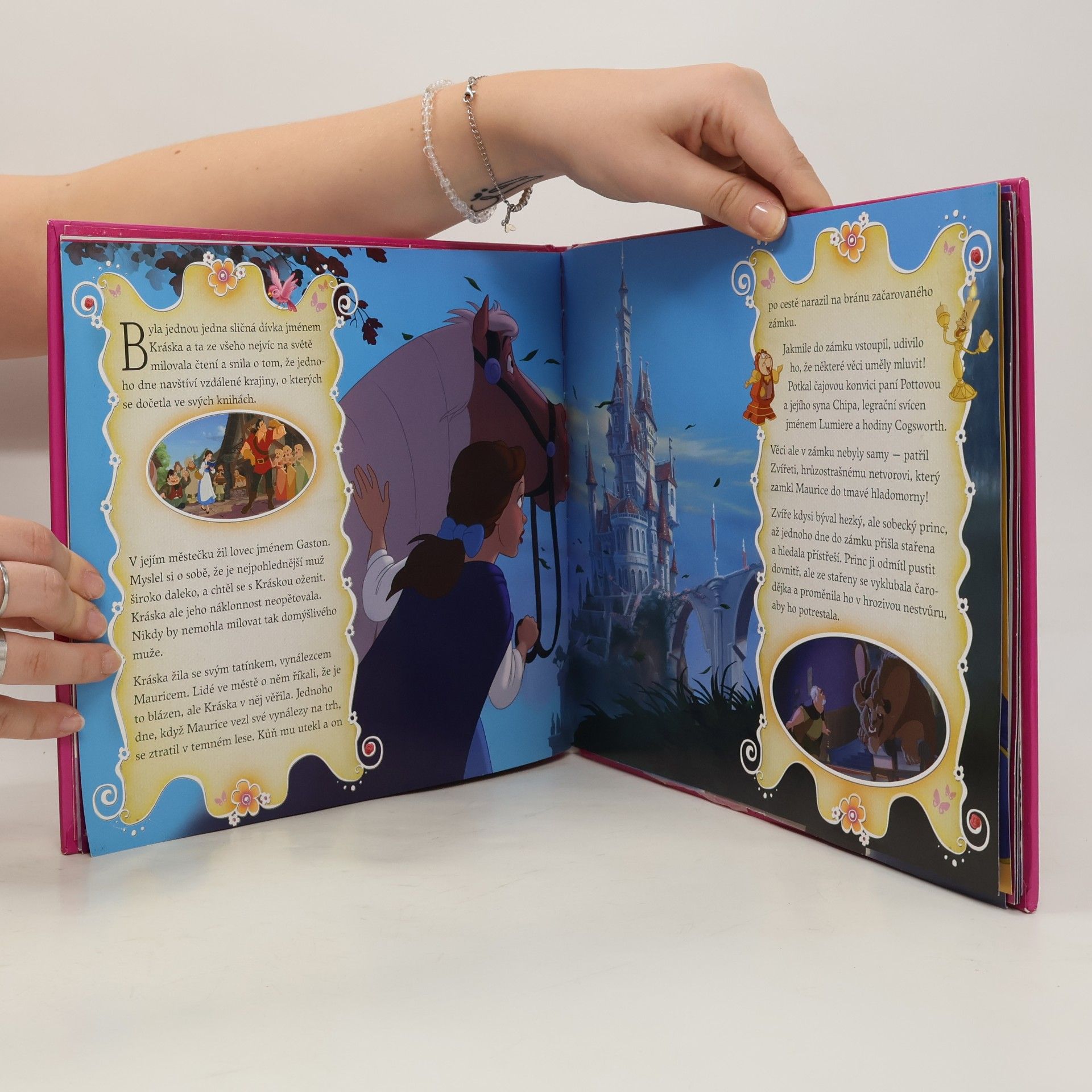 Andrea Vašíčková Disney princezny : okouzlující 3D efekty