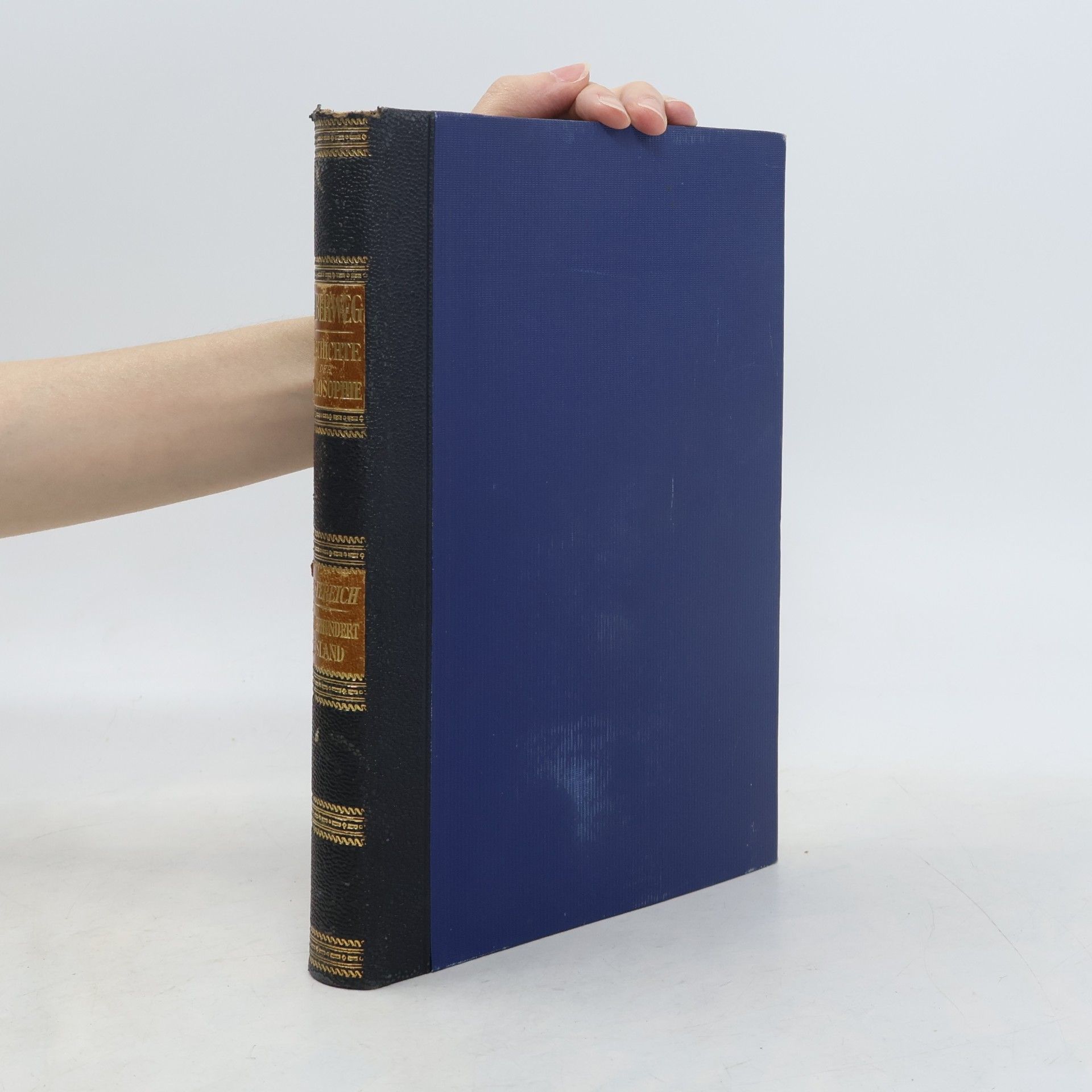 Traugott Konstantin Oesterreich Die Philosophie des Auslandes