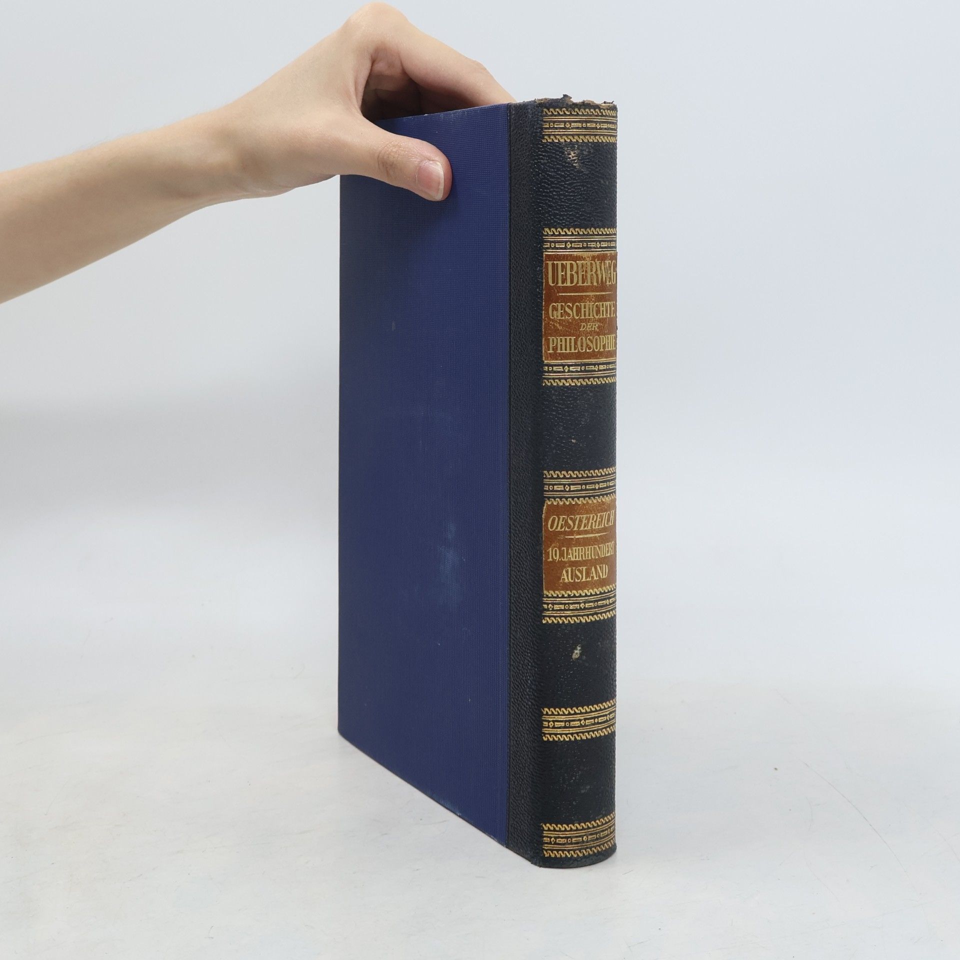 Traugott Konstantin Oesterreich Die Philosophie des Auslandes