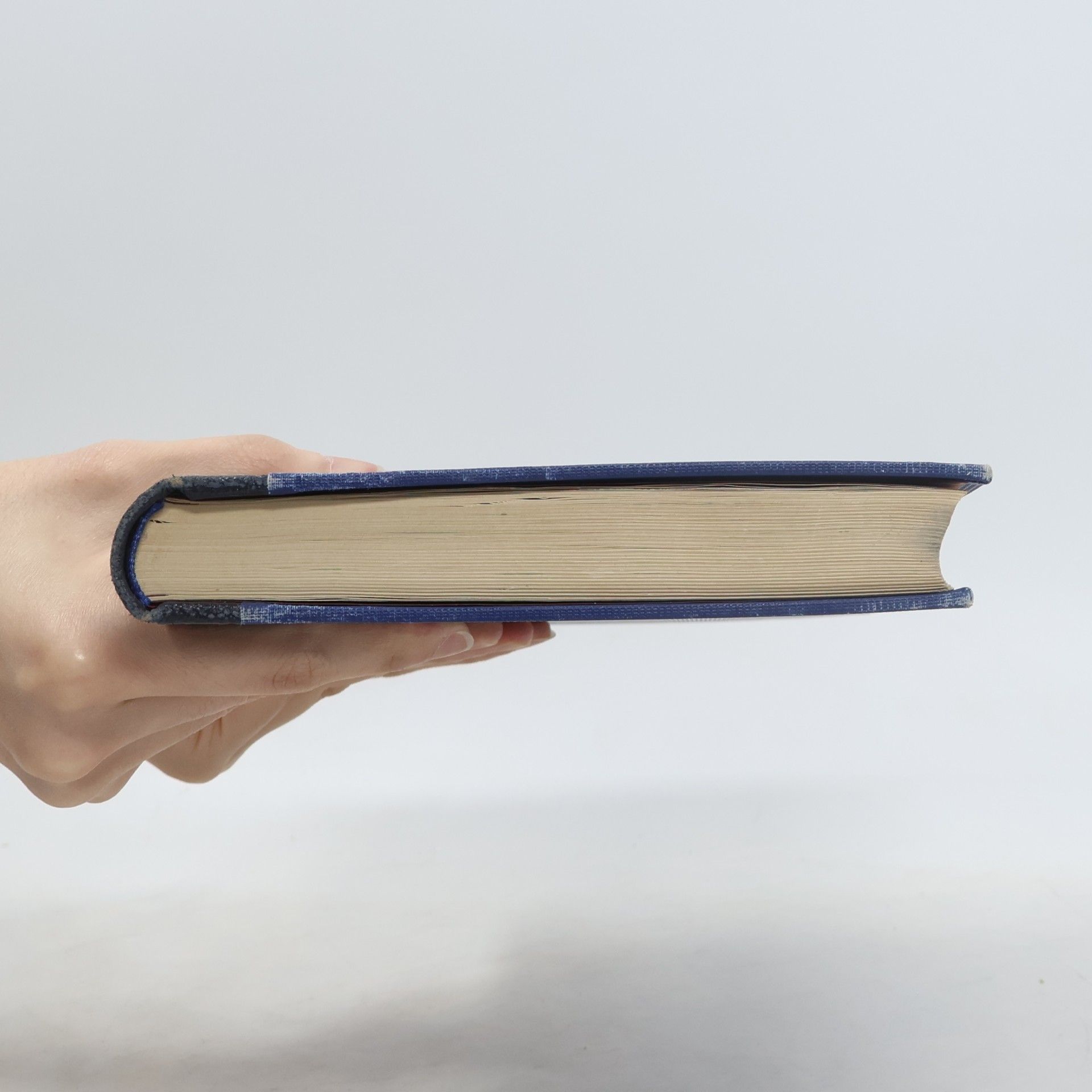 Traugott Konstantin Oesterreich Die Philosophie des Auslandes