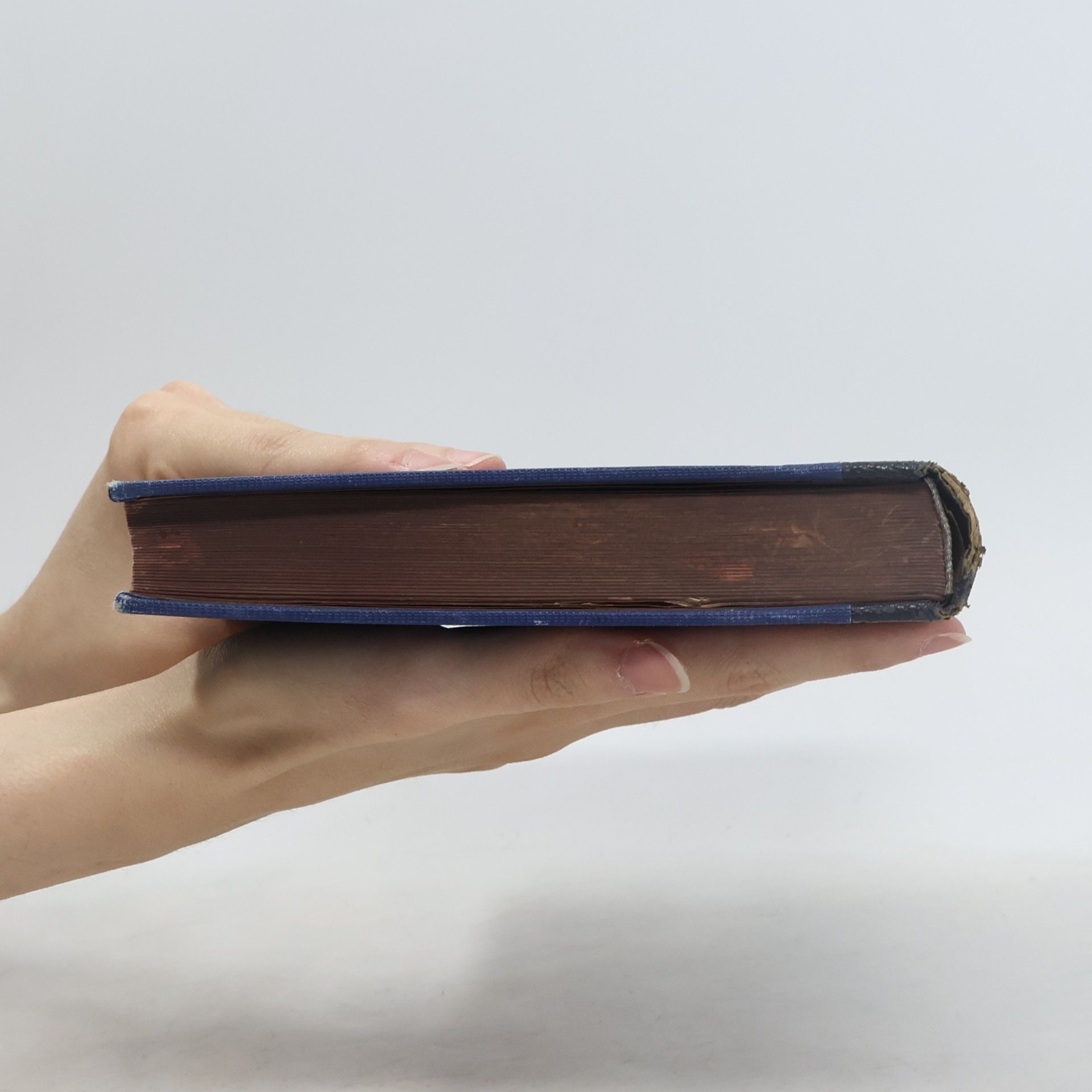 Traugott Konstantin Oesterreich Die Philosophie des Auslandes