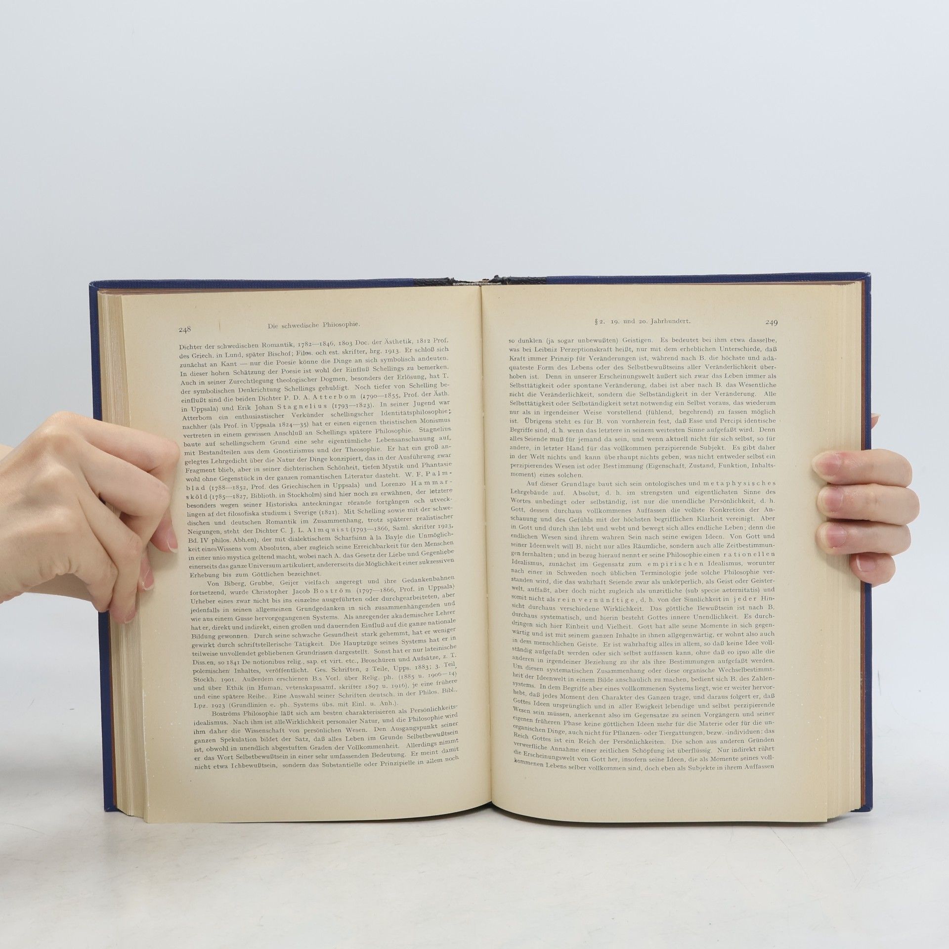 Traugott Konstantin Oesterreich Die Philosophie des Auslandes