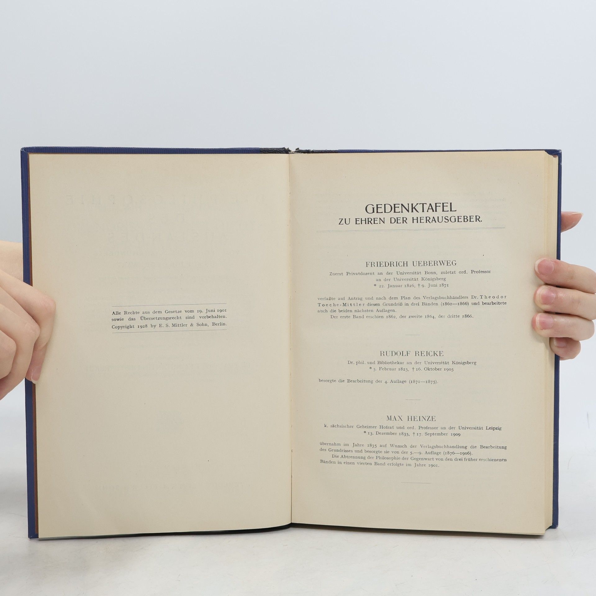 Traugott Konstantin Oesterreich Die Philosophie des Auslandes