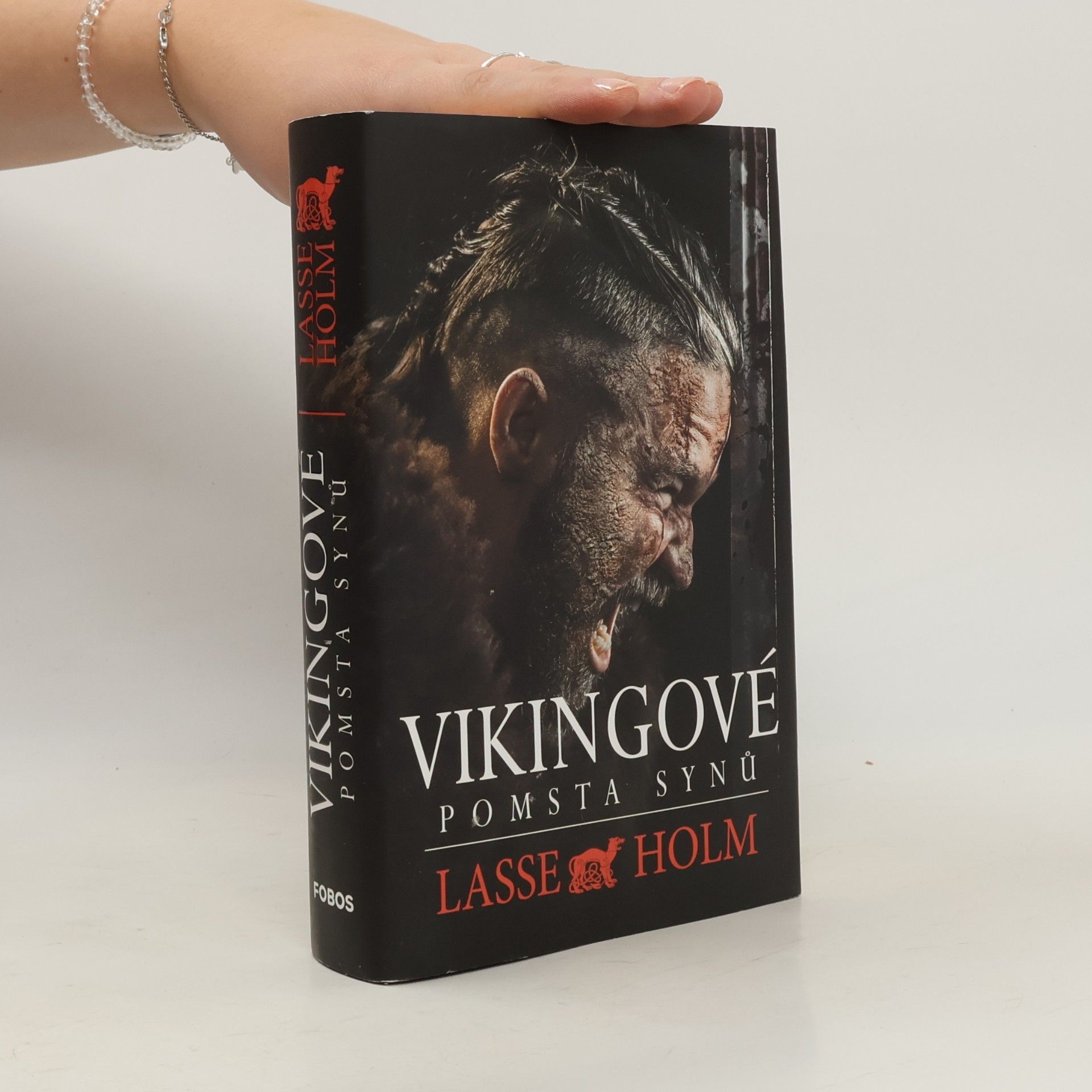 Vikingové. Pomsta synů