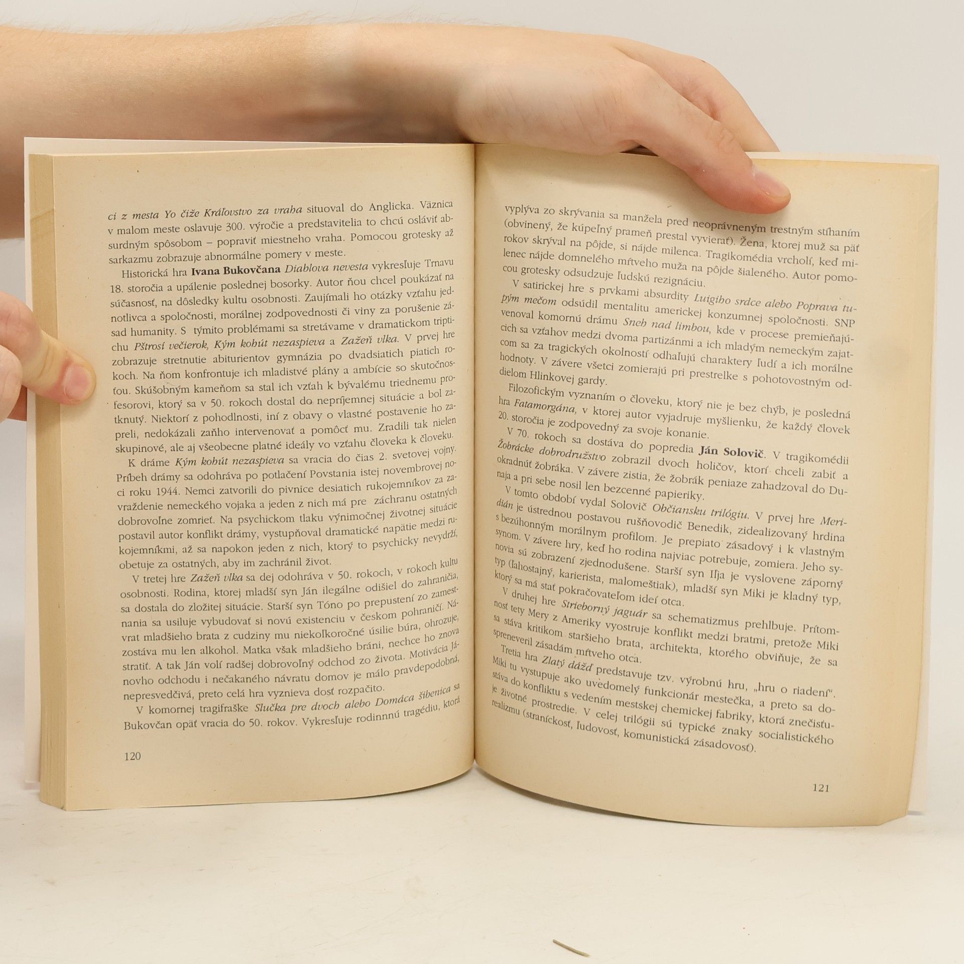Mária Ivanová Slovenský jazyk a literatúra