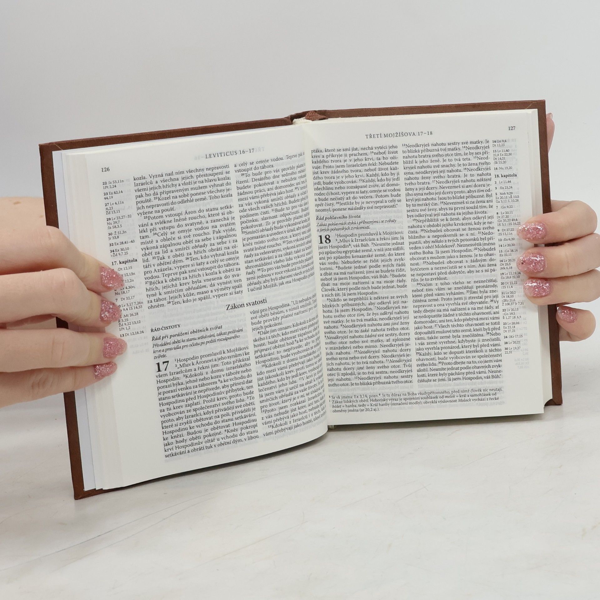Kolektiv autorů Bible : Písmo svaté Starého a Nového zákona