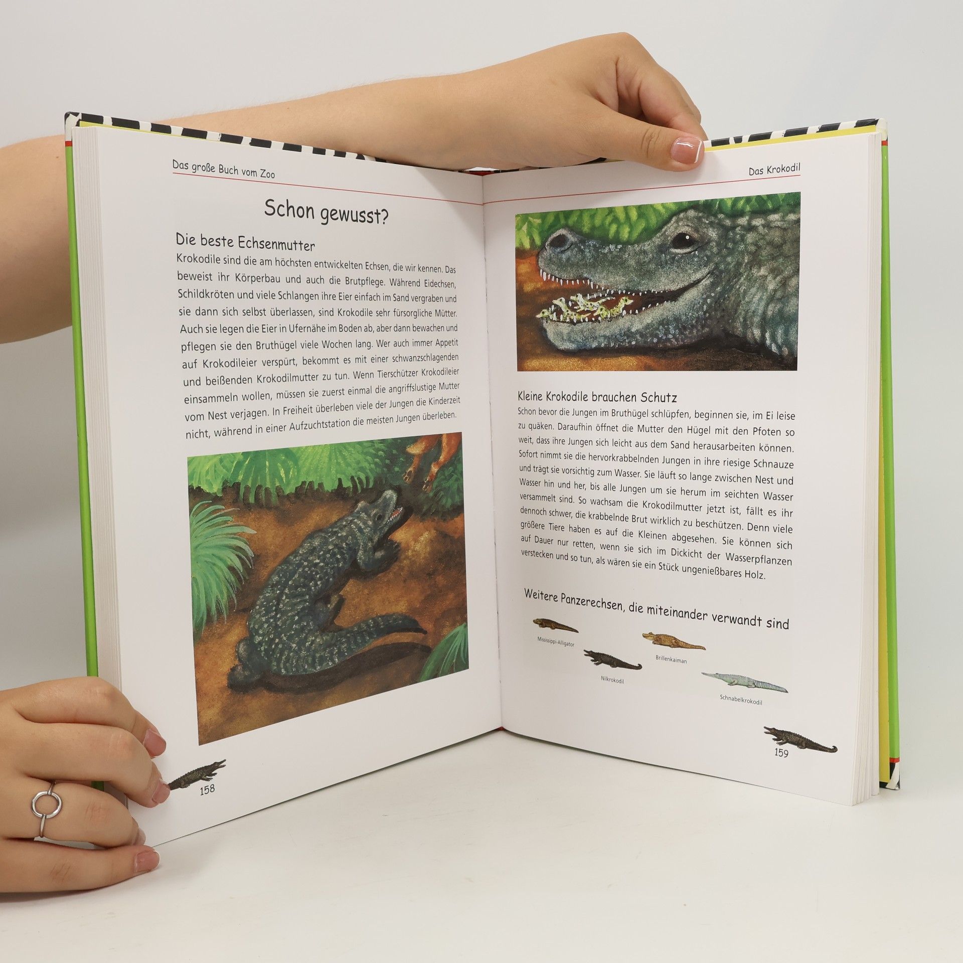 Pieter Kunstreich Das große Buch vom Zoo