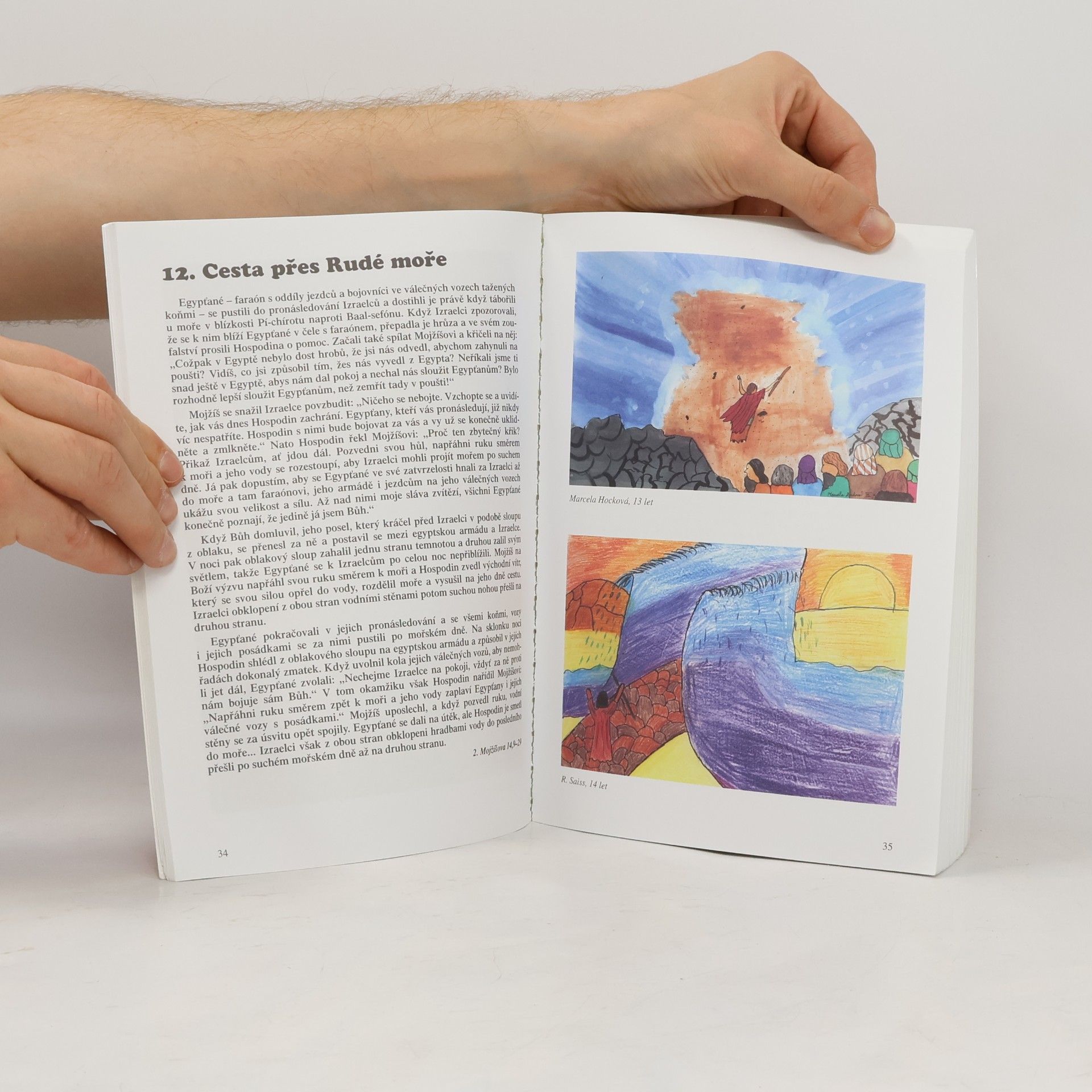 Various authors Mana Bible 2003