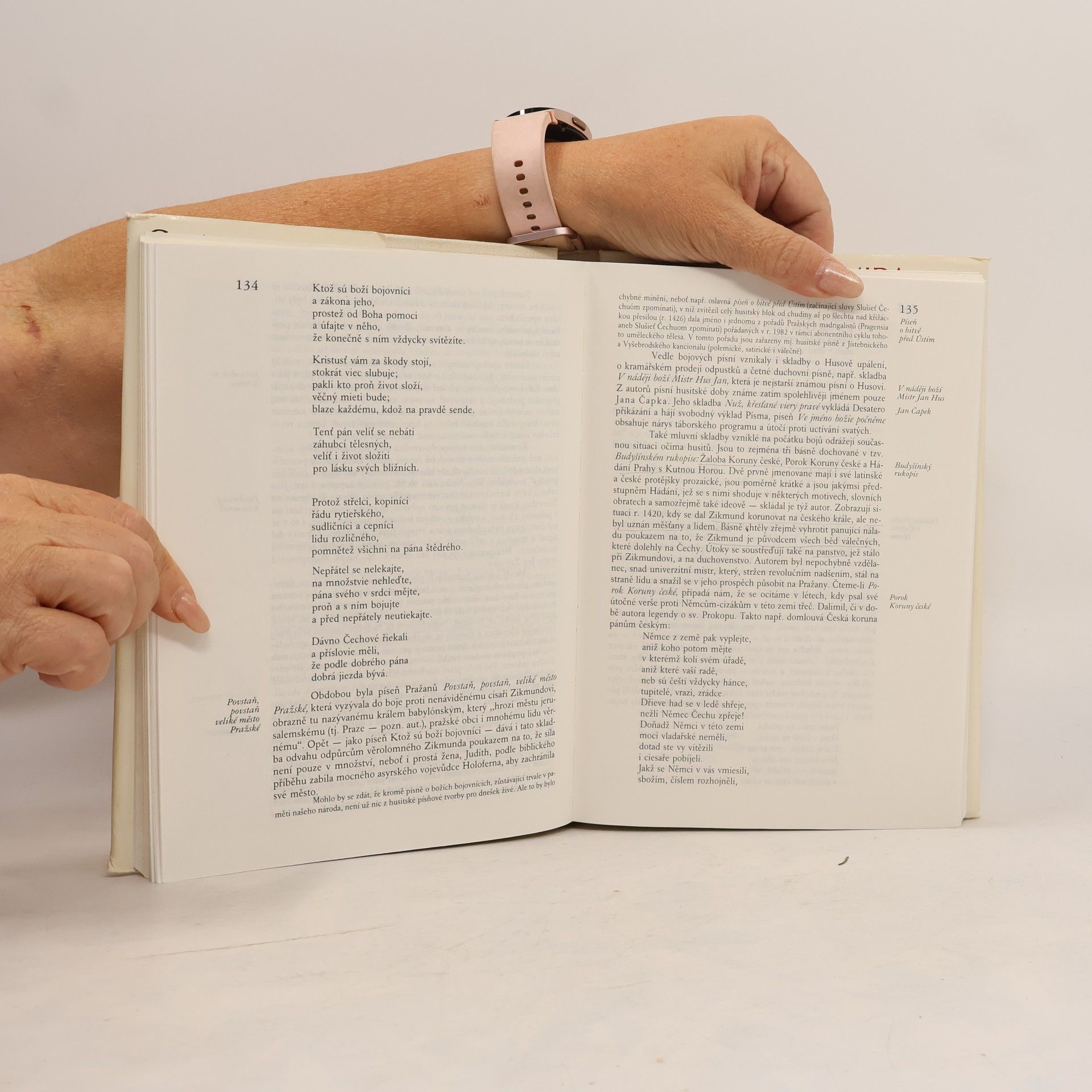 Zdeňka Tichá Cesta starší české literatury