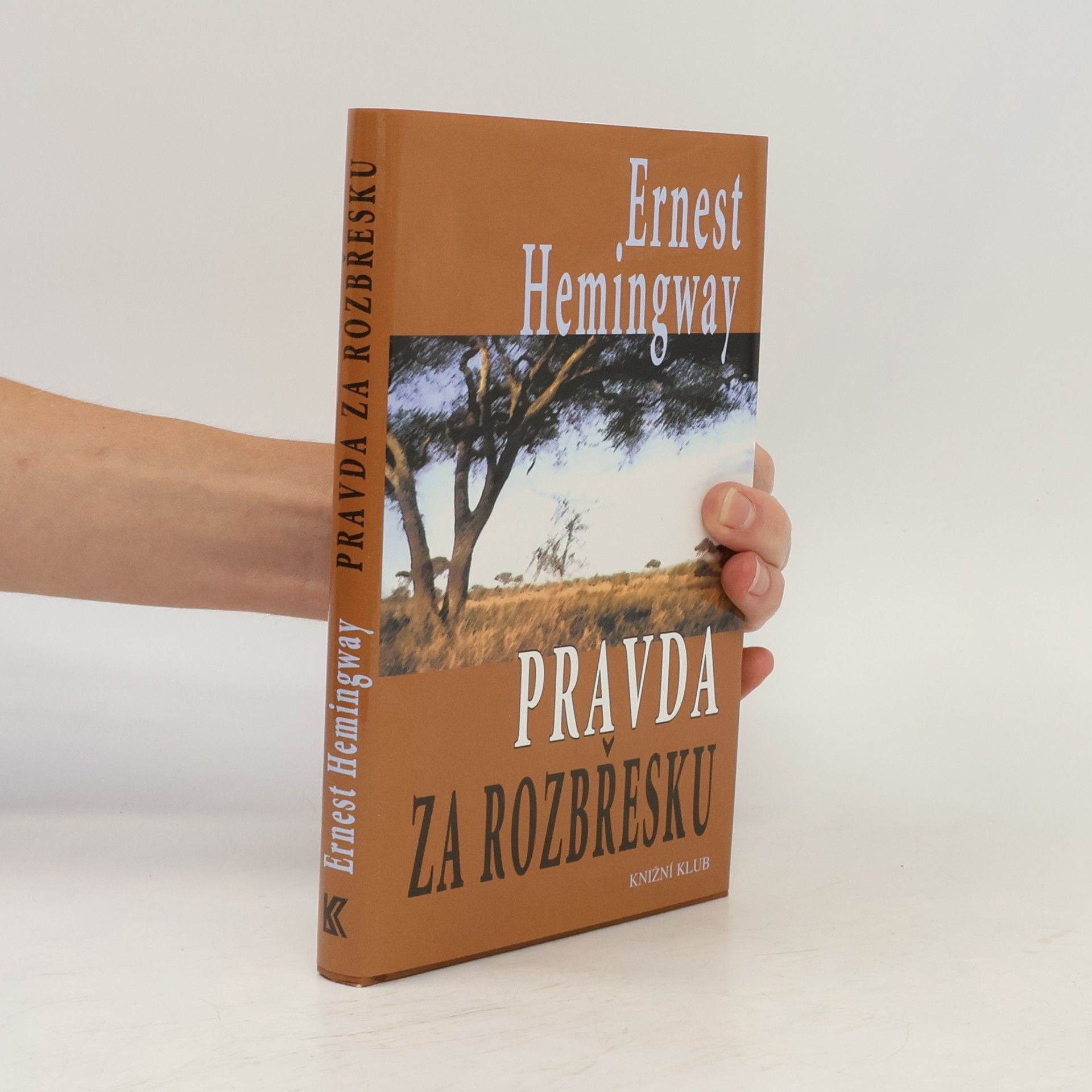 Ernest Hemingway Pravda za rozbřesku