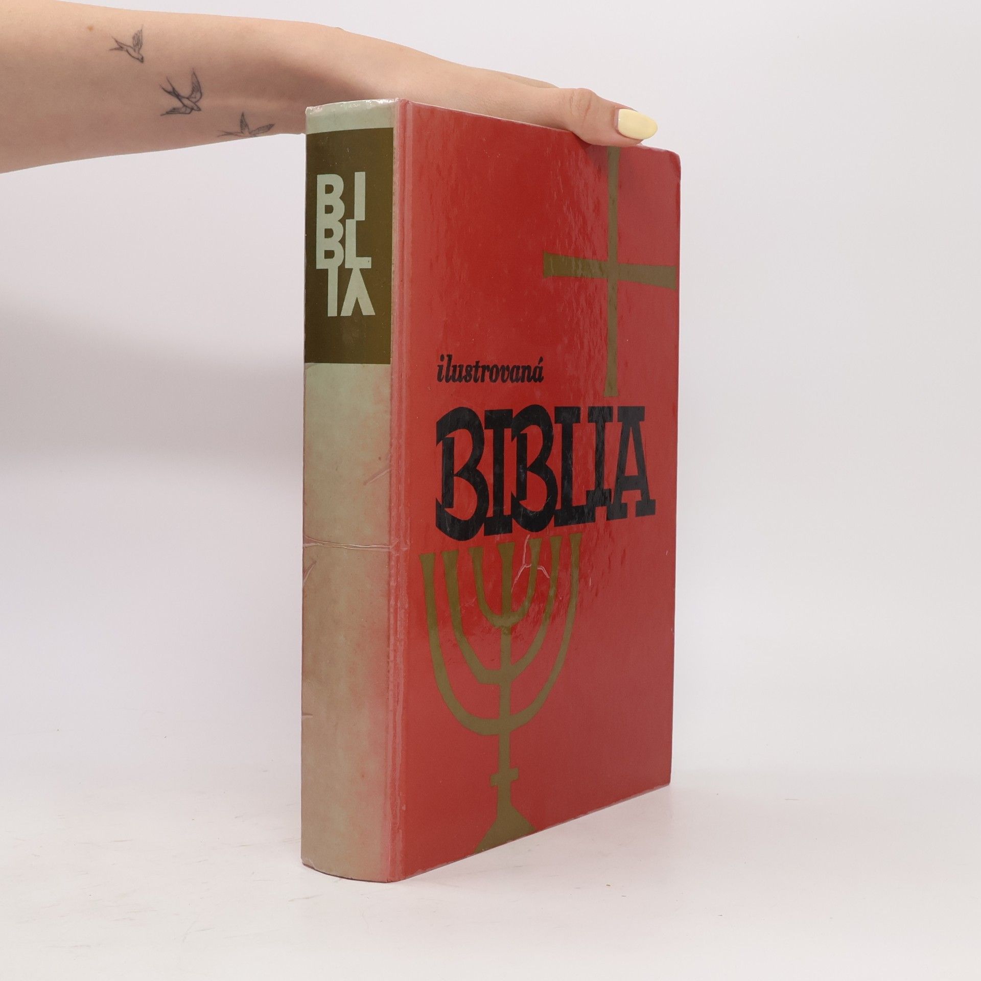 Collectif d'auteurs Ilustrovaná biblia : Výber statí s farebnými obrázkami