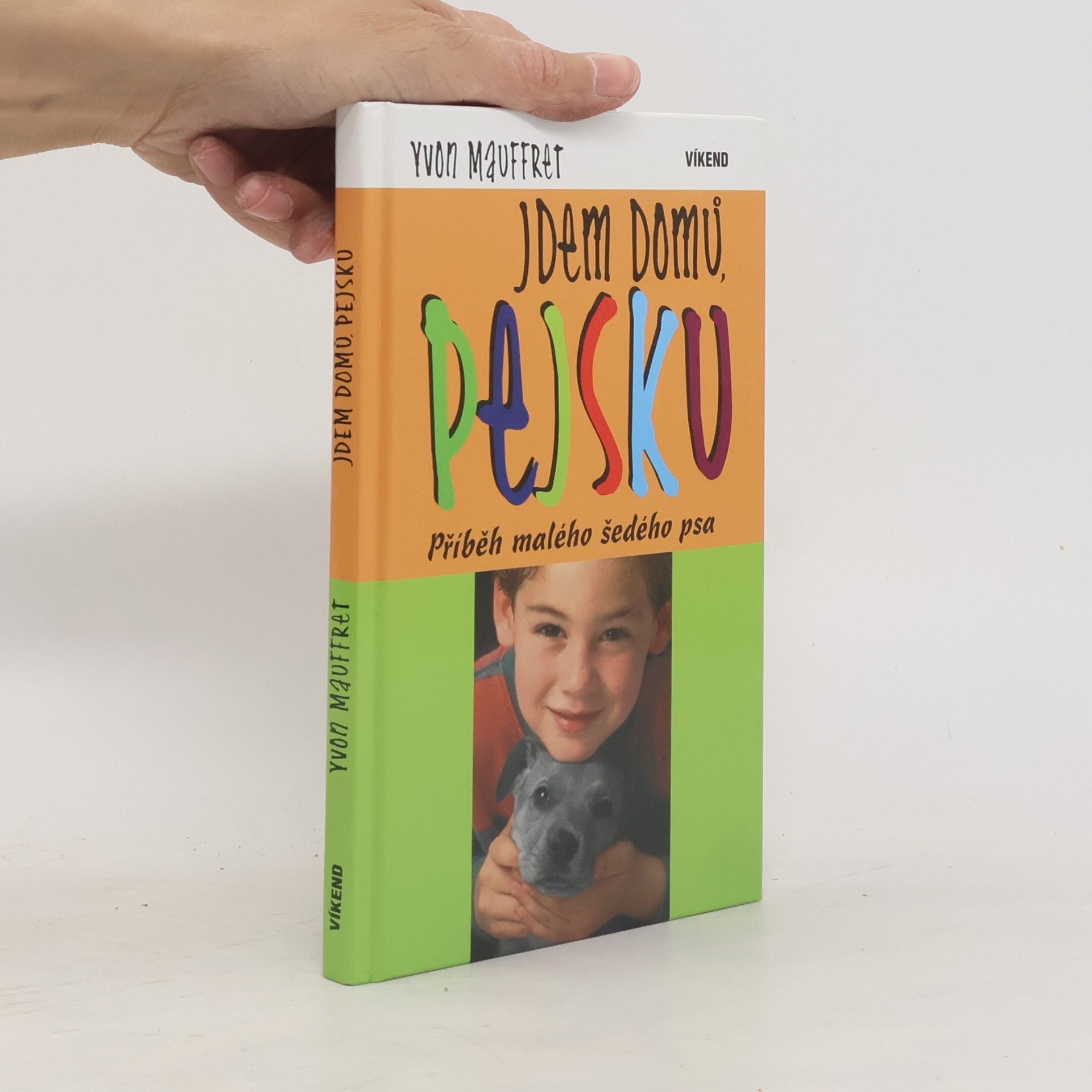 Yvon Mauffret Jdem domů, pejsku. Příběh malého šedého psa
