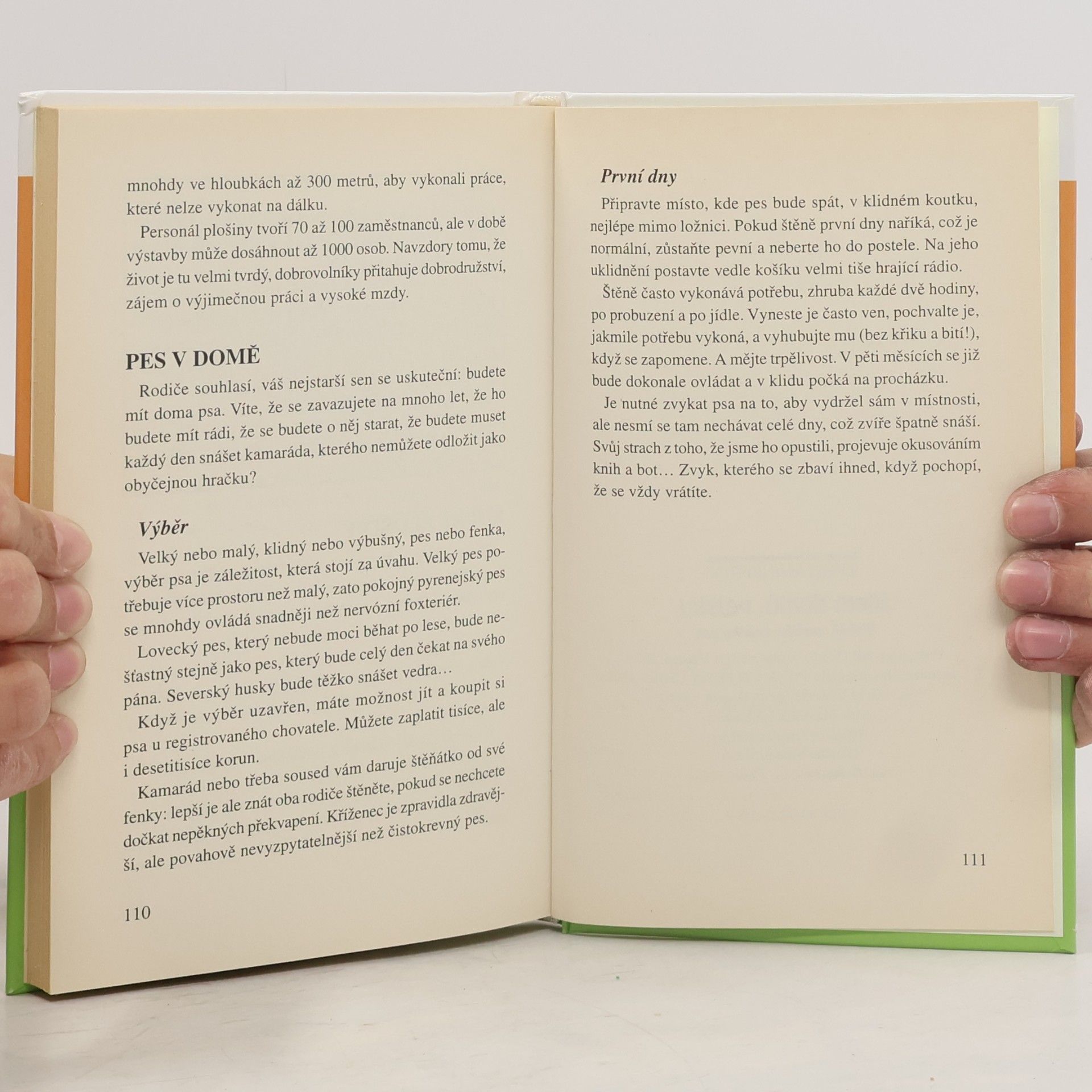 Yvon Mauffret Jdem domů, pejsku. Příběh malého šedého psa
