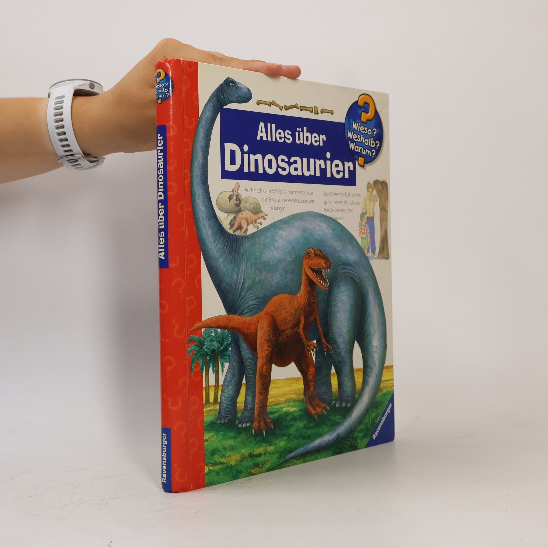 Patricia Mennen Alles über Dinosaurier