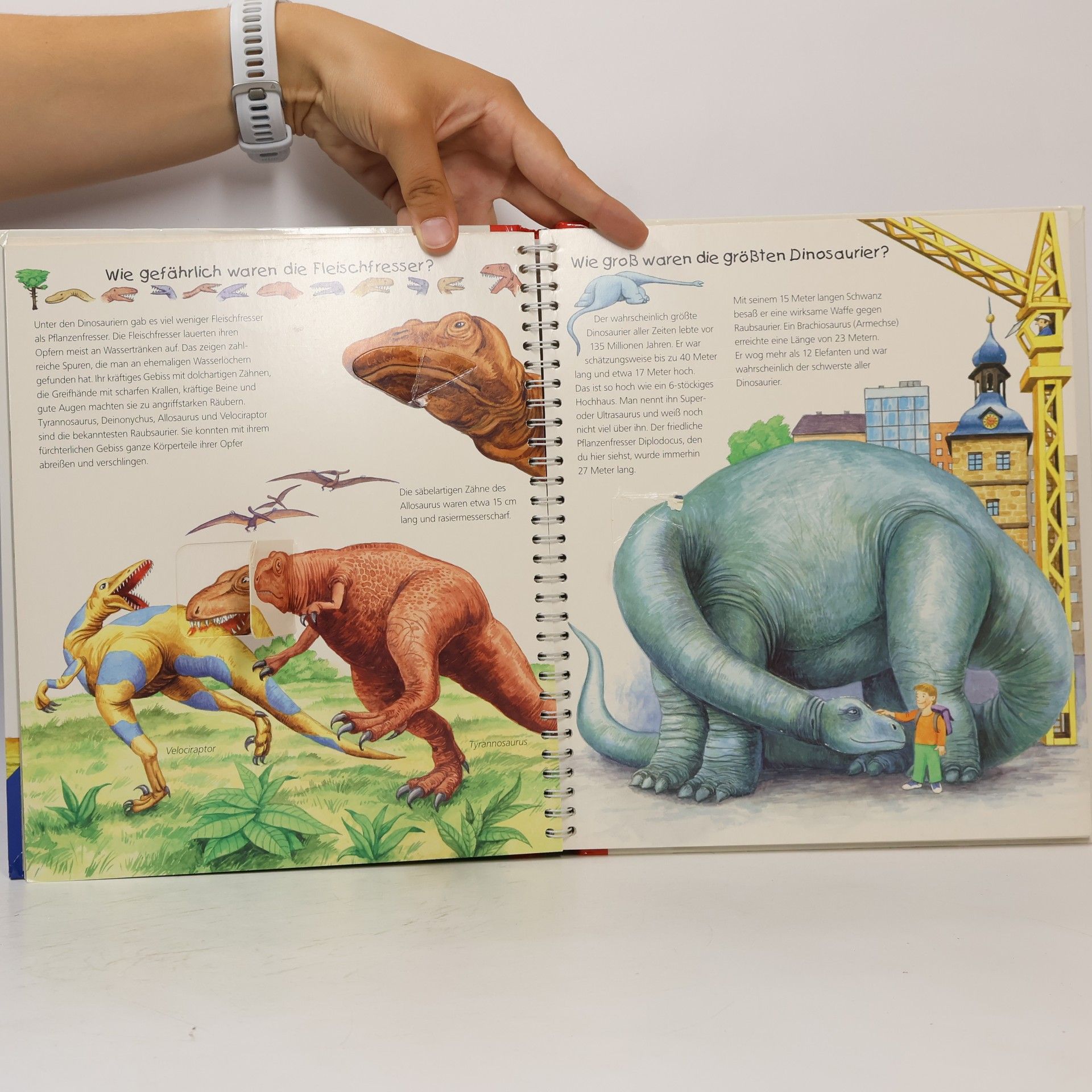 Patricia Mennen Alles über Dinosaurier