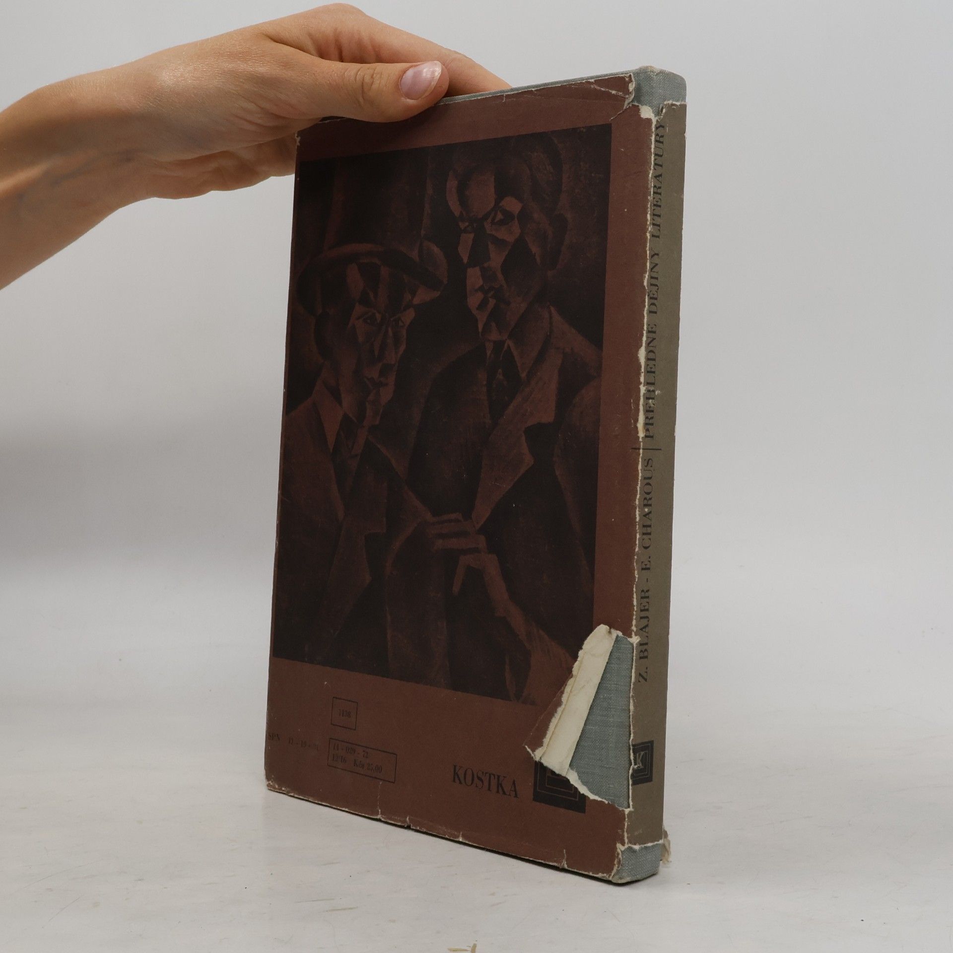 Zdeněk Blajer Přehledné dějiny literatury