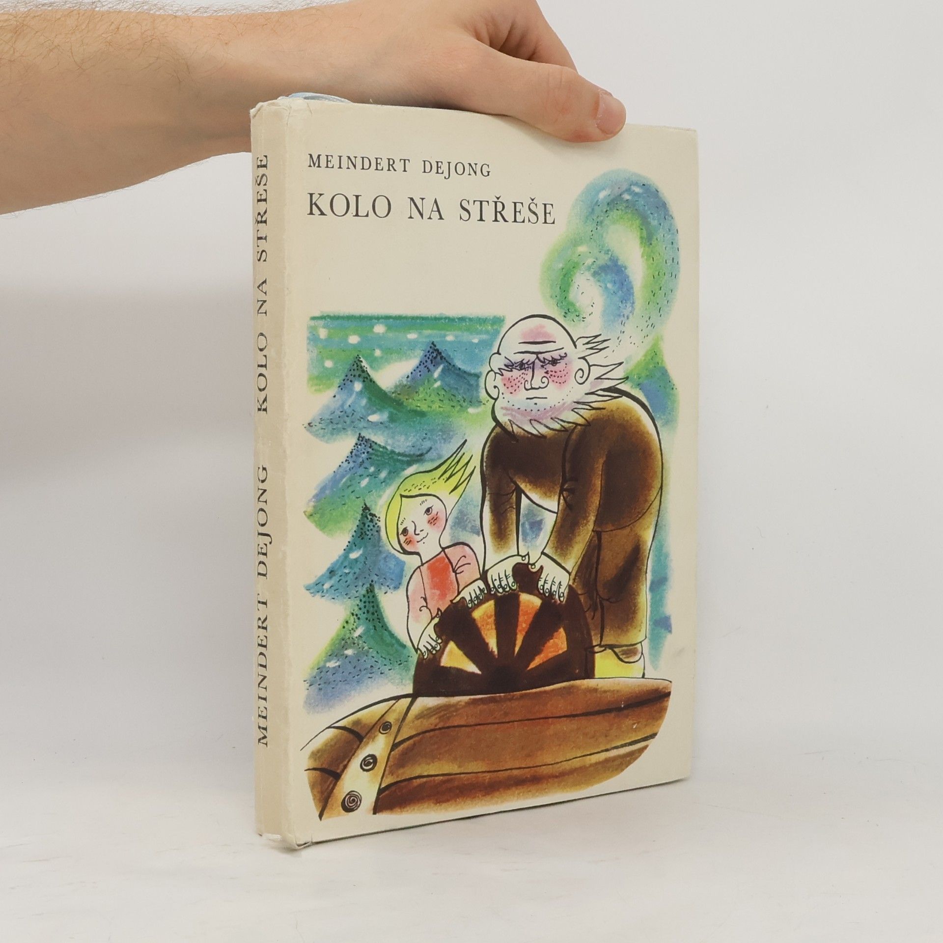 Meindert De Jong Kolo na střeše