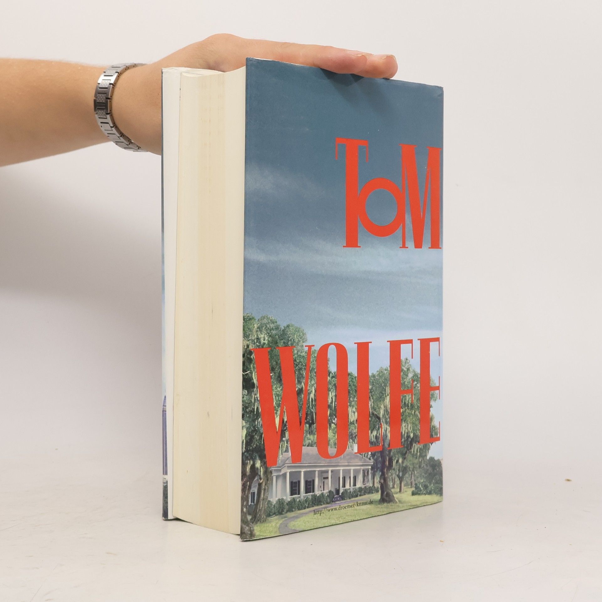 Tom Wolfe Ein ganzer Kerl