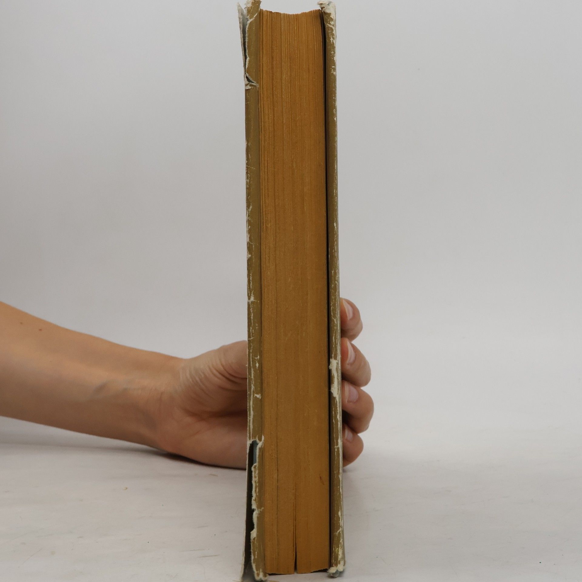 Bohumil Balajka Přehledné dějiny literatury I.