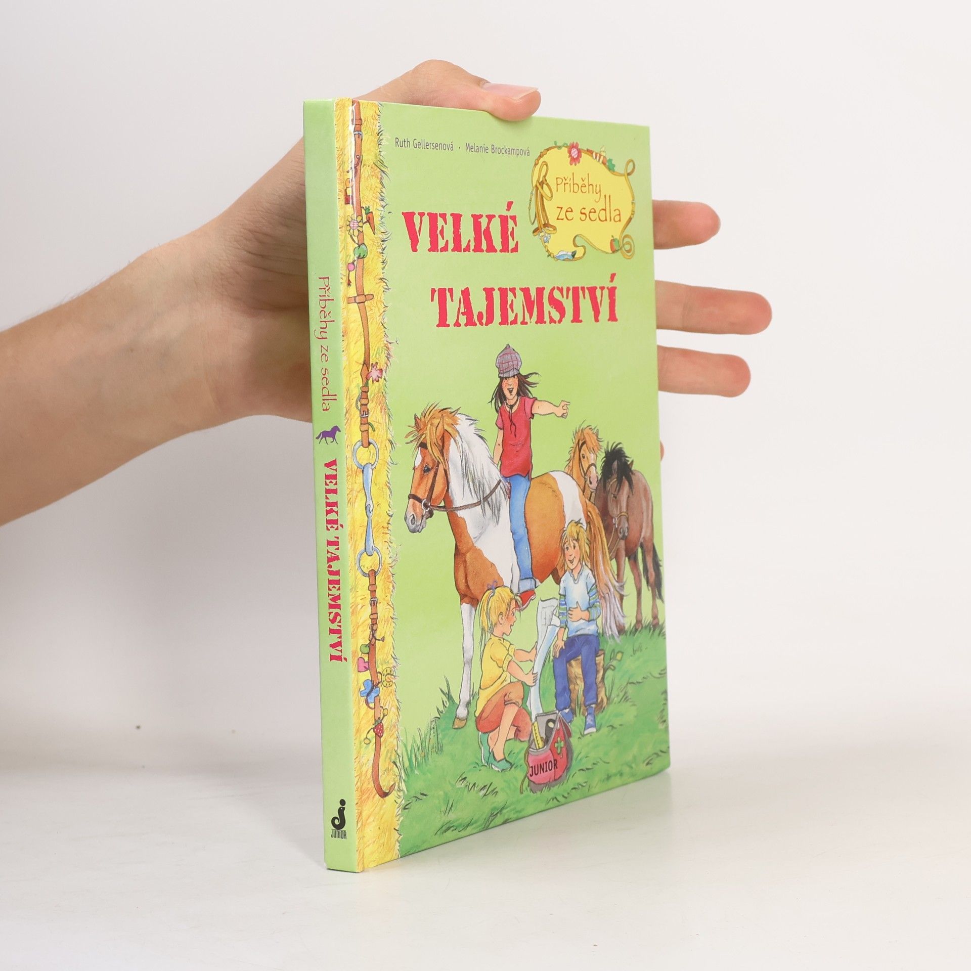 Ruth Gellersen Příběhy ze sedla. Velké tajemství