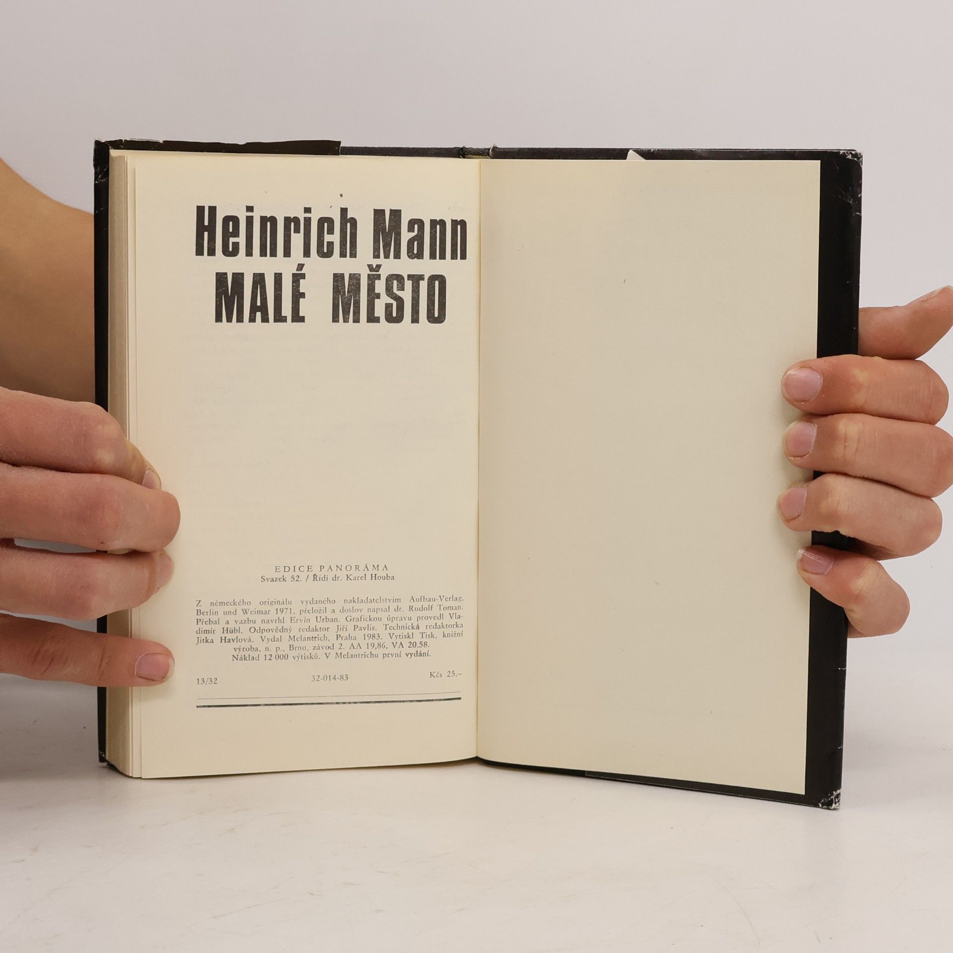 Heinrich Mann Malé město