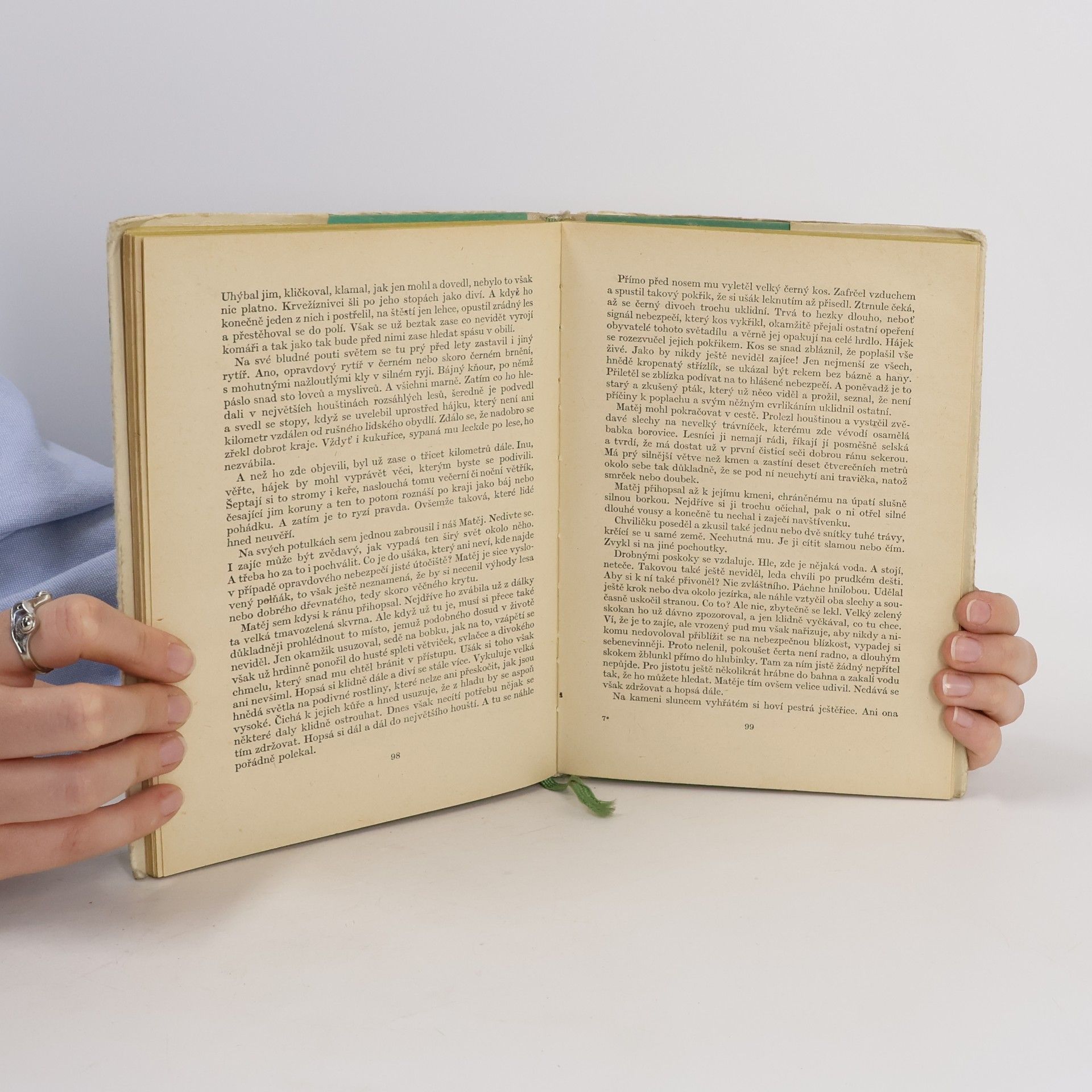 Autorenkollektiv Obrázky z lesů a polí