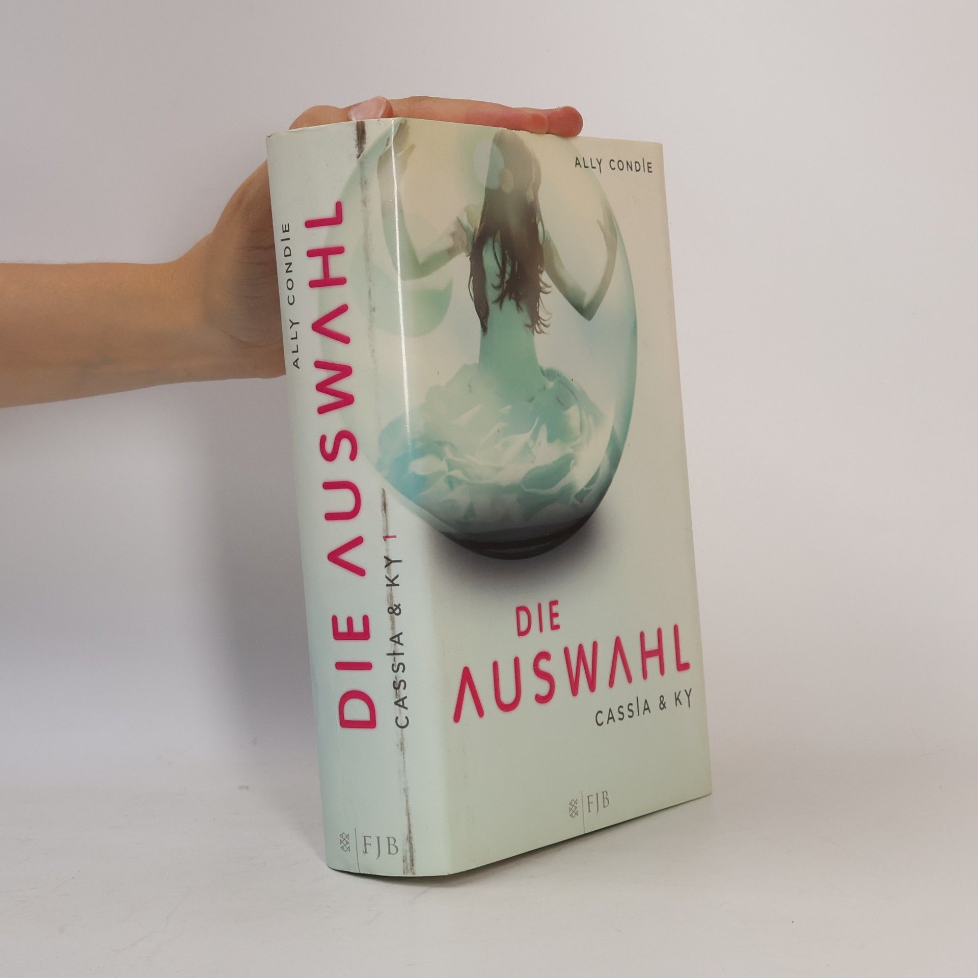 Ally Condie Die Auswahl