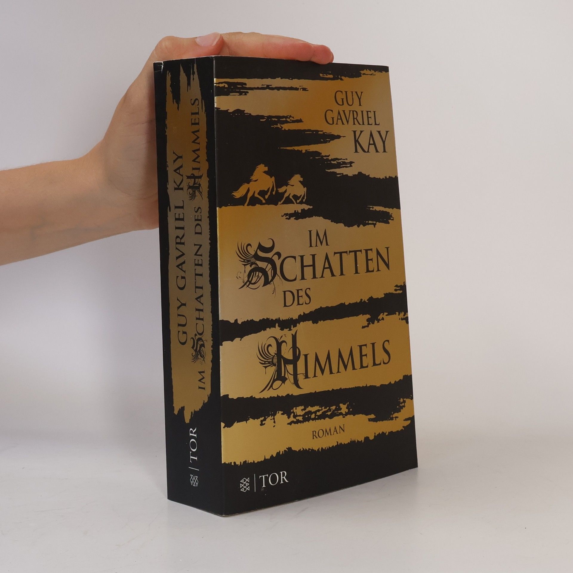 Guy Gavriel Kay Im Schatten des Himmels