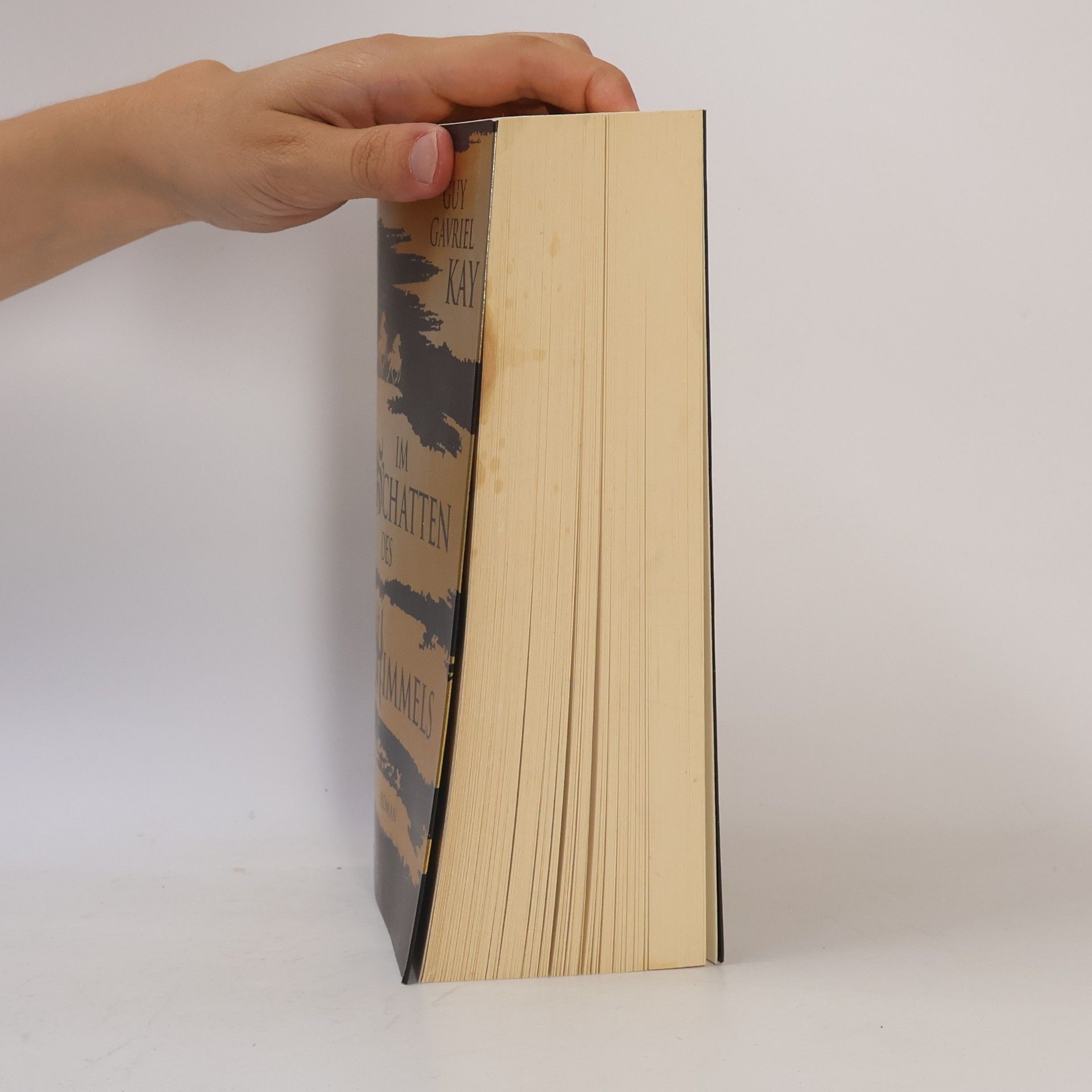 Guy Gavriel Kay Im Schatten des Himmels