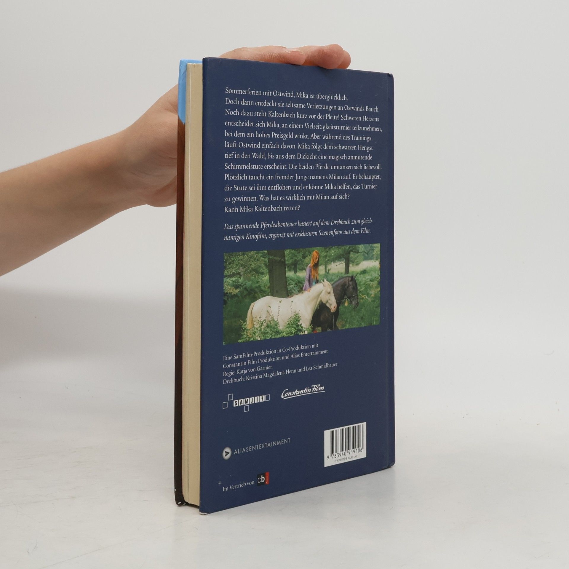 Kristina Magdalena Henn Ostwind 2 - Das Buch zum Film