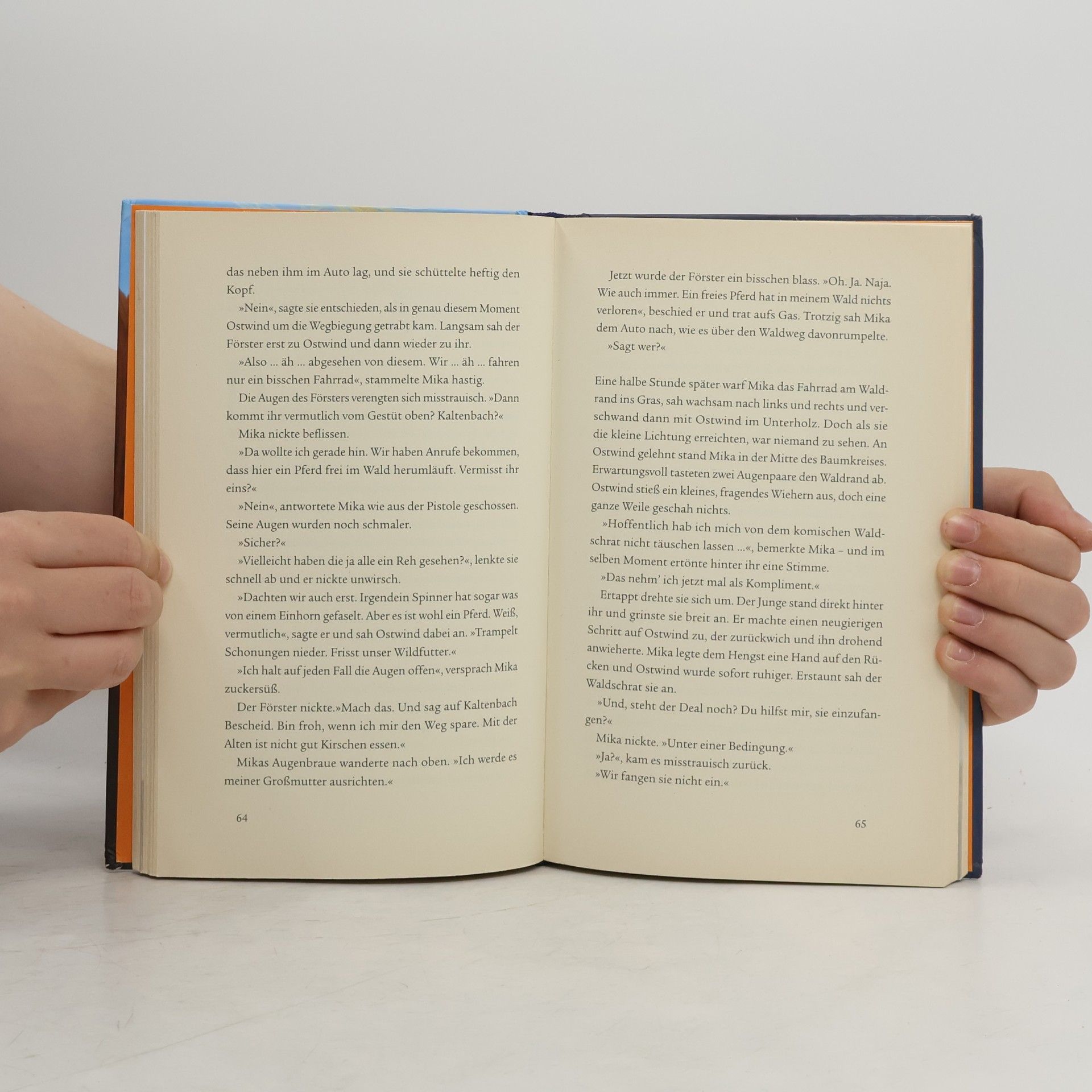 Kristina Magdalena Henn Ostwind 2 - Das Buch zum Film