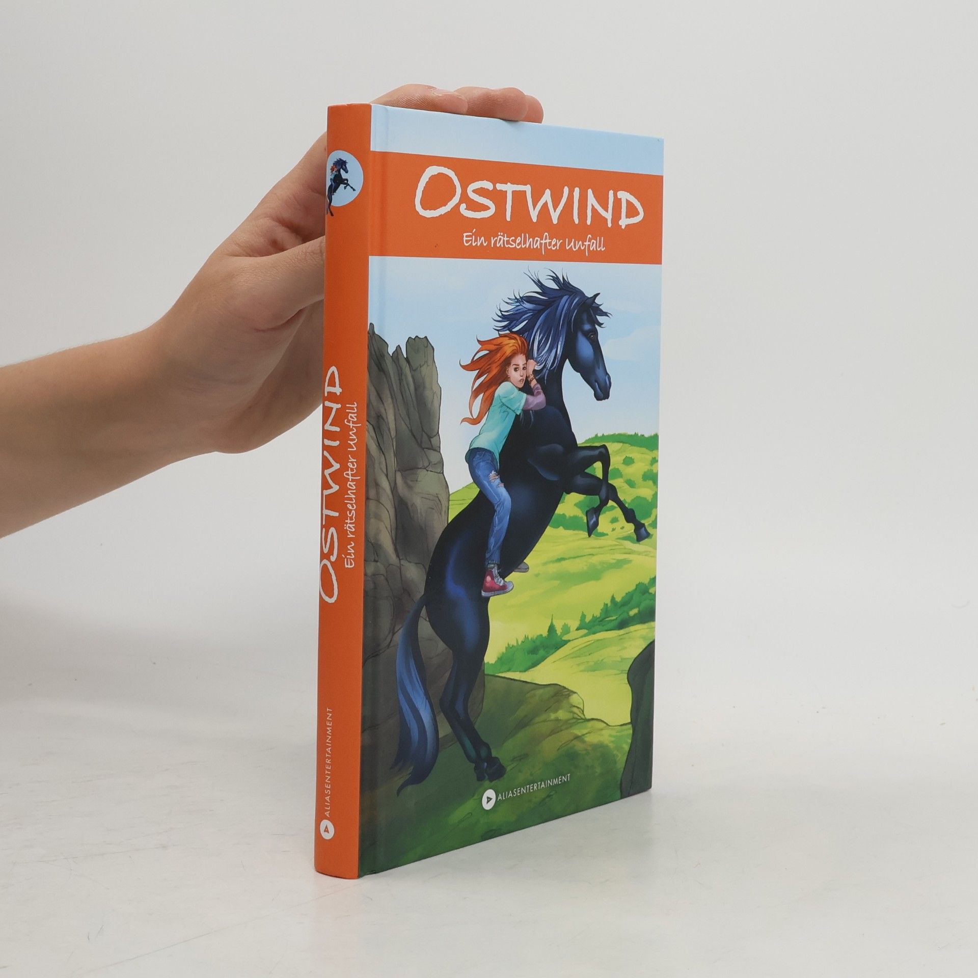 Schwarz Rosa OSTWIND - Ein rätselhafter Unfall
